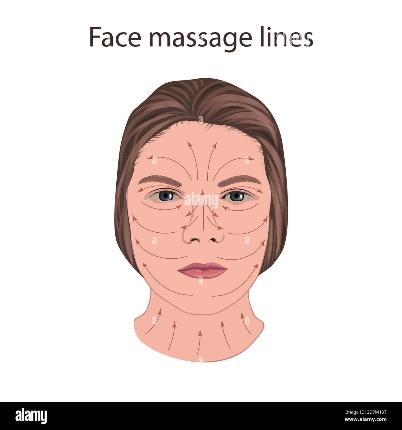 Linee di massaggio viso, illustrazione. Foto Stock