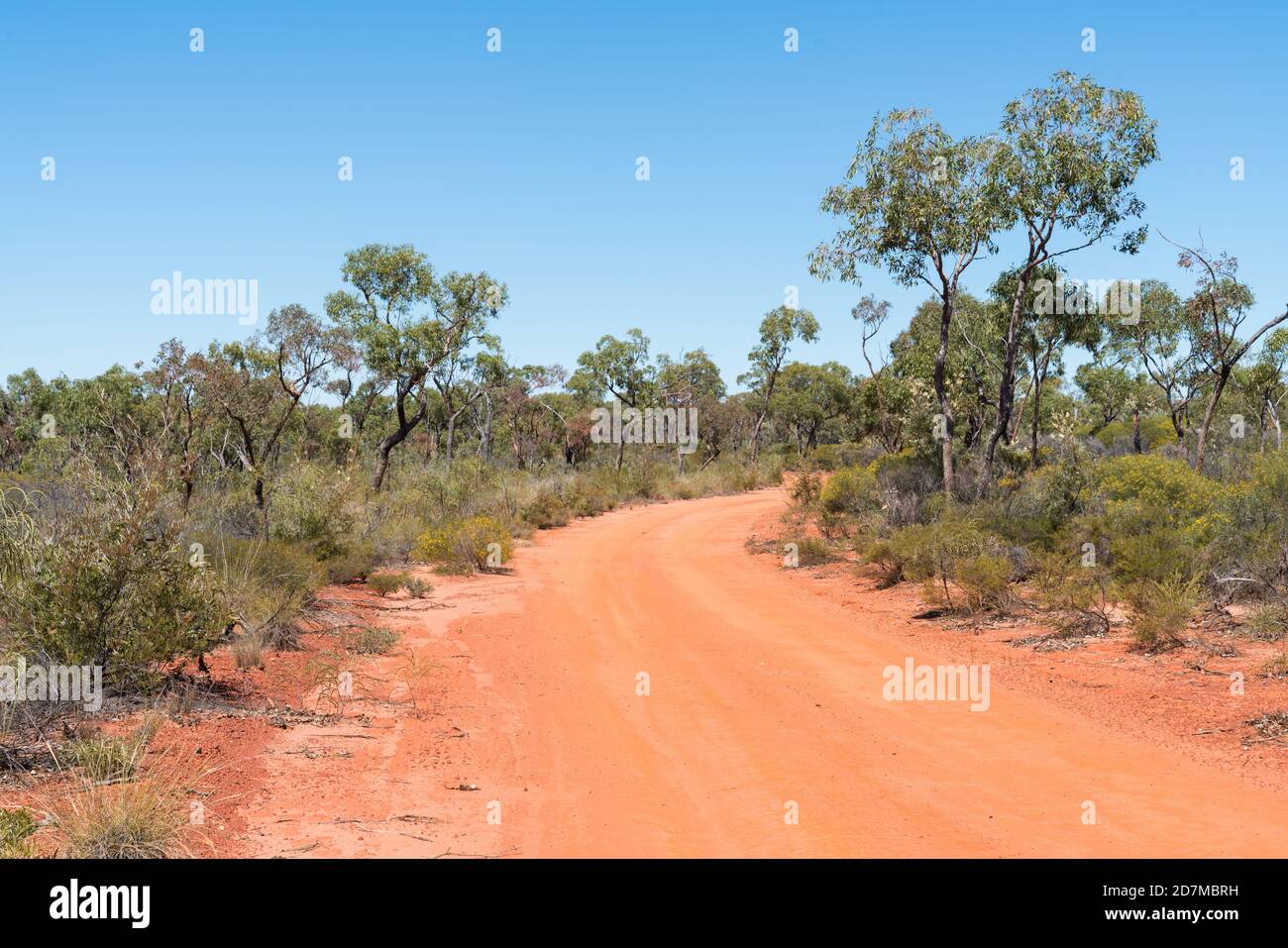 Strada del suolo rosso e nativi fioriti sulla strada per Sawpit Gorge nel White Mountains National Park, Queensland Foto Stock
