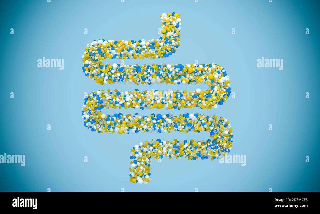Batteri all'interno dell'intestino crasso, concetto, rappresentazione. Illustrazione 3D. Foto Stock