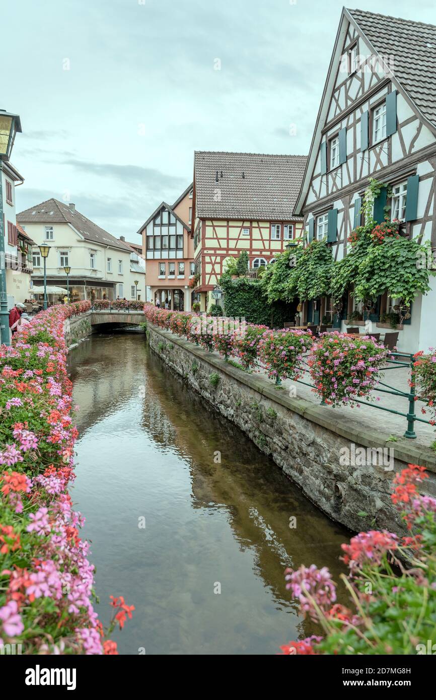 OBERKIRCH, GERMANIA - Settembre 06 2020: Paesaggio urbano con il canale in fiore e pittoresche vecchie case di picchiettio nel quartiere pedonale nel piccolo storico Foto Stock