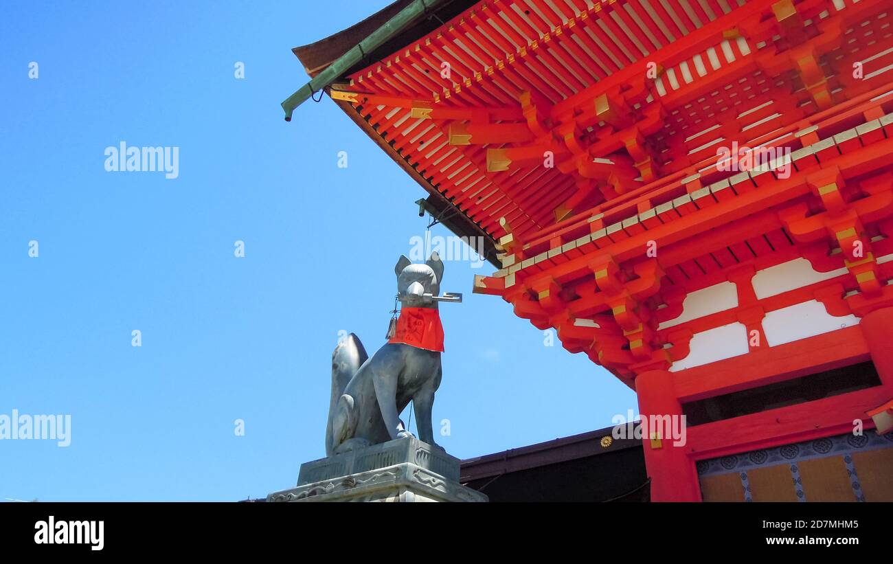 Tempio giapponese shintoista statua cane tempio tenendo chiave in suo bocca con rosso sciarpa oro dettagli blu cielo viaggio di lusso edificio rosso a kyoto, giappone Foto Stock