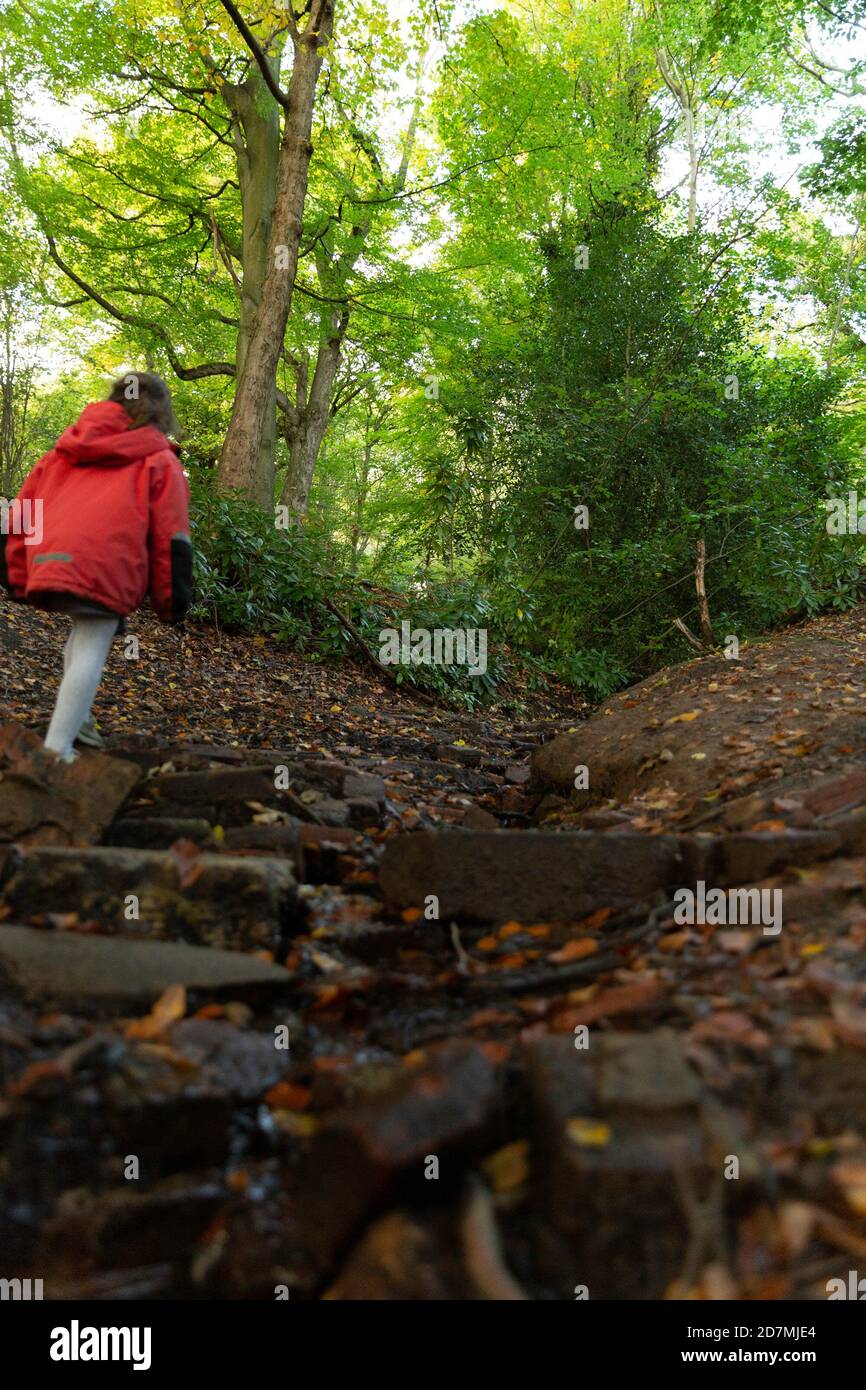 Vacanze a casa. Bambini bambini che esplorano la campagna nel Nord-Ovest. Staycation. Bambini escursioni in collina e in montagna. Foto Stock