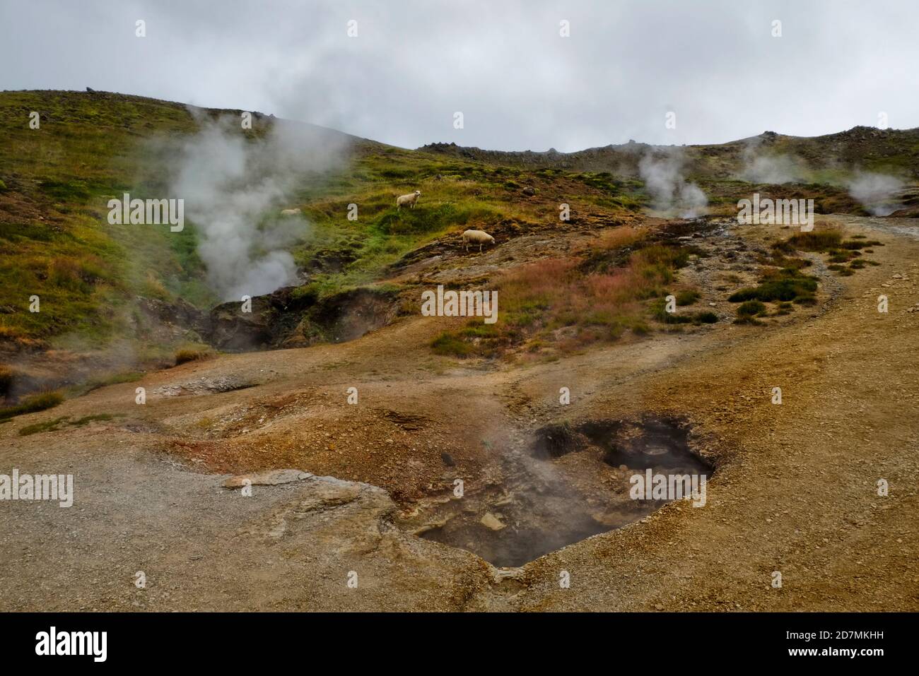 L'isola si trova su uno dei "punti caldi" della terra, con conseguente attività geotermica. Foto Stock