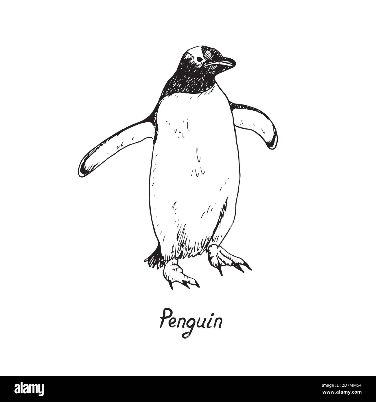 Pinguino che tiene ampie ali e camminare, doodle disegnati a mano, schizzo in stile pop art, illustrazione del contorno con iscrizione Foto Stock