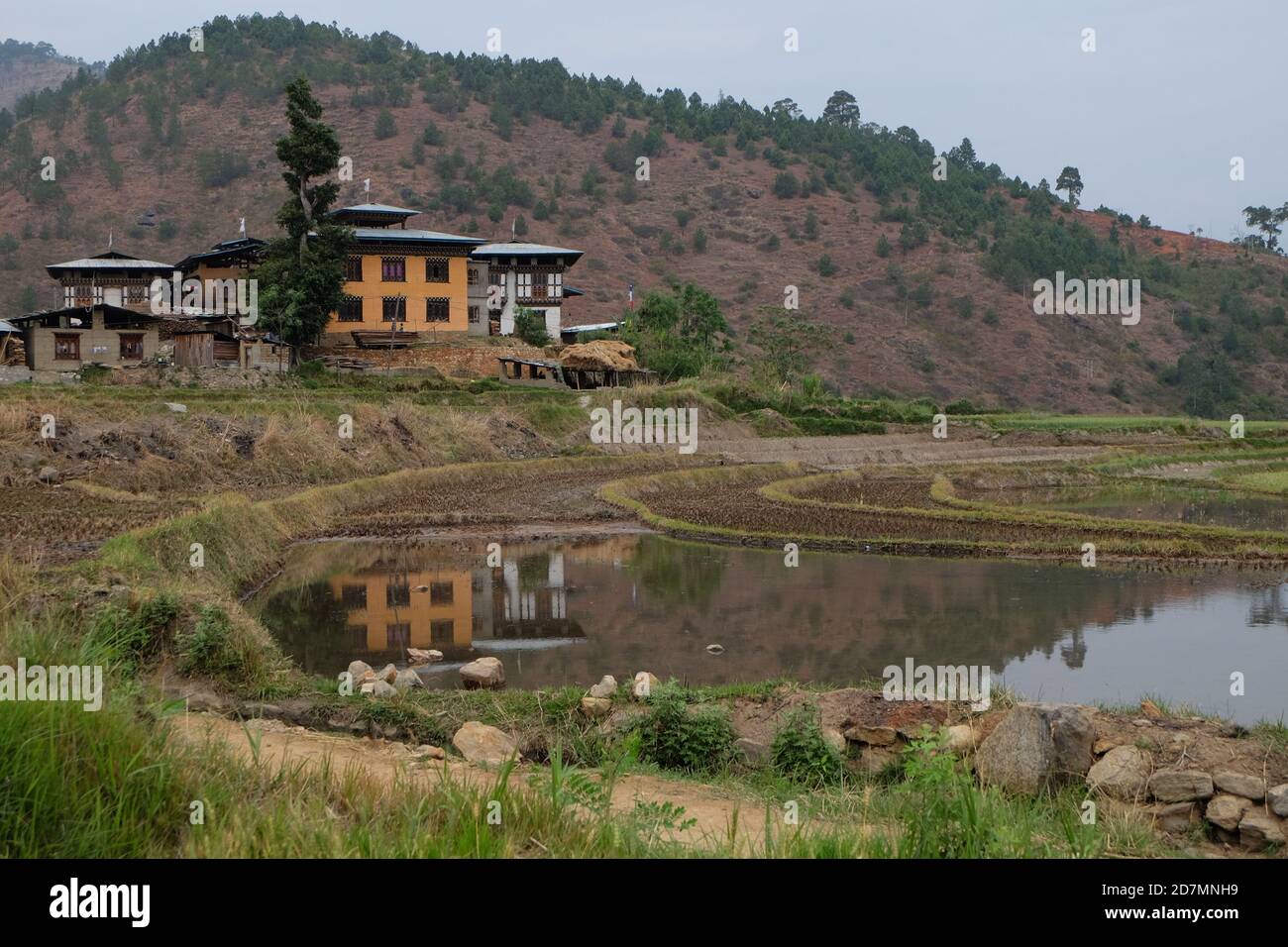 Piscina riflettente in Bhutan Foto Stock