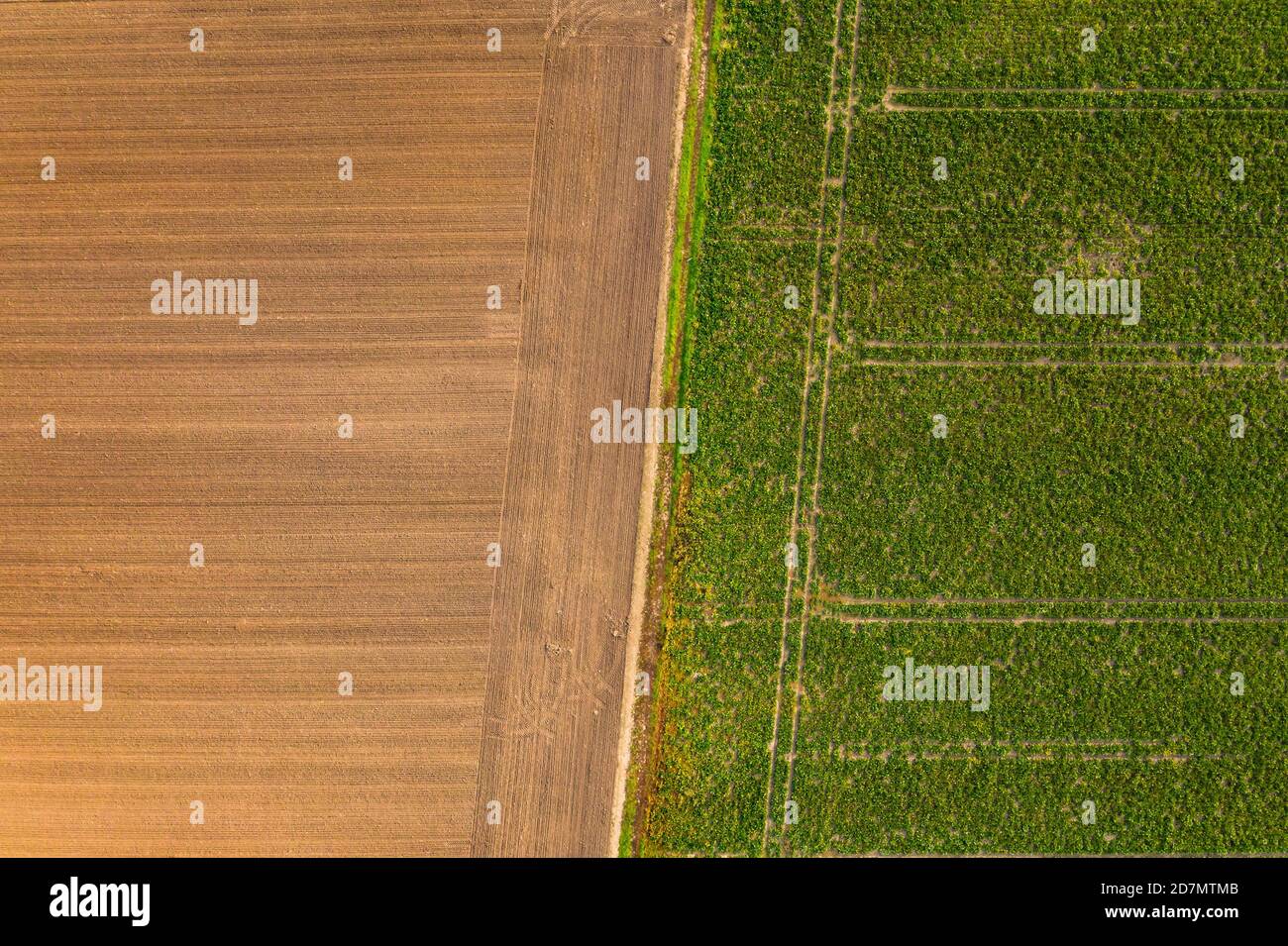 Un campo arato con un terreno arabile marrone vicino a. Un campo verde nel sud della Germania da cui è stato prelevato sopra Foto Stock