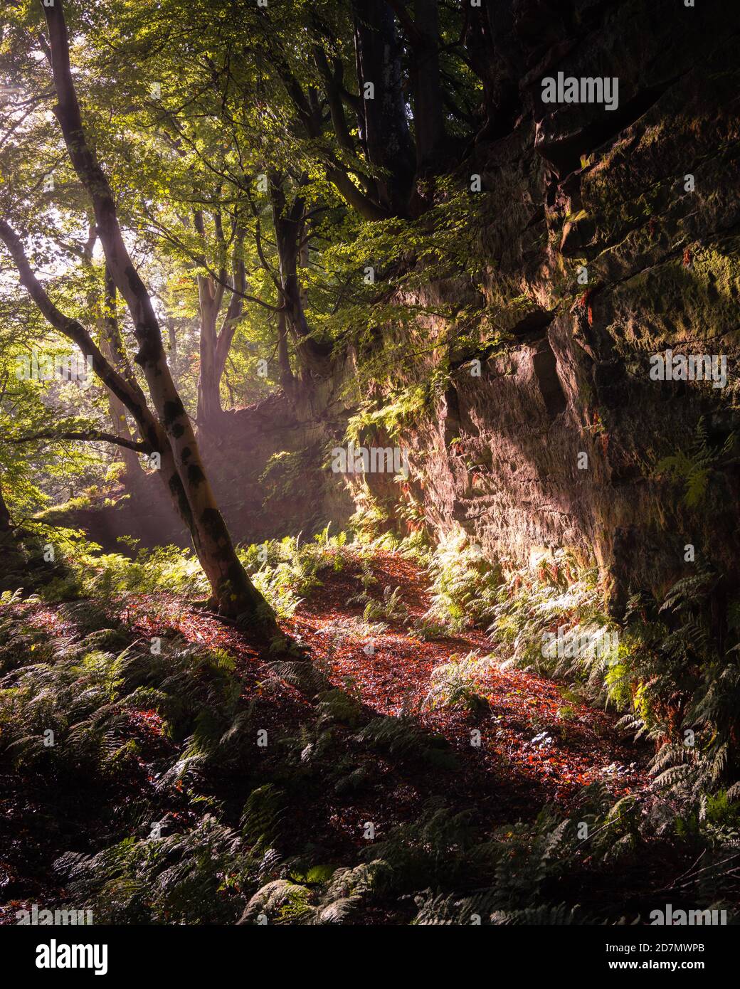 Dufton Ghyll, Eden Valley, Cumbria Foto Stock