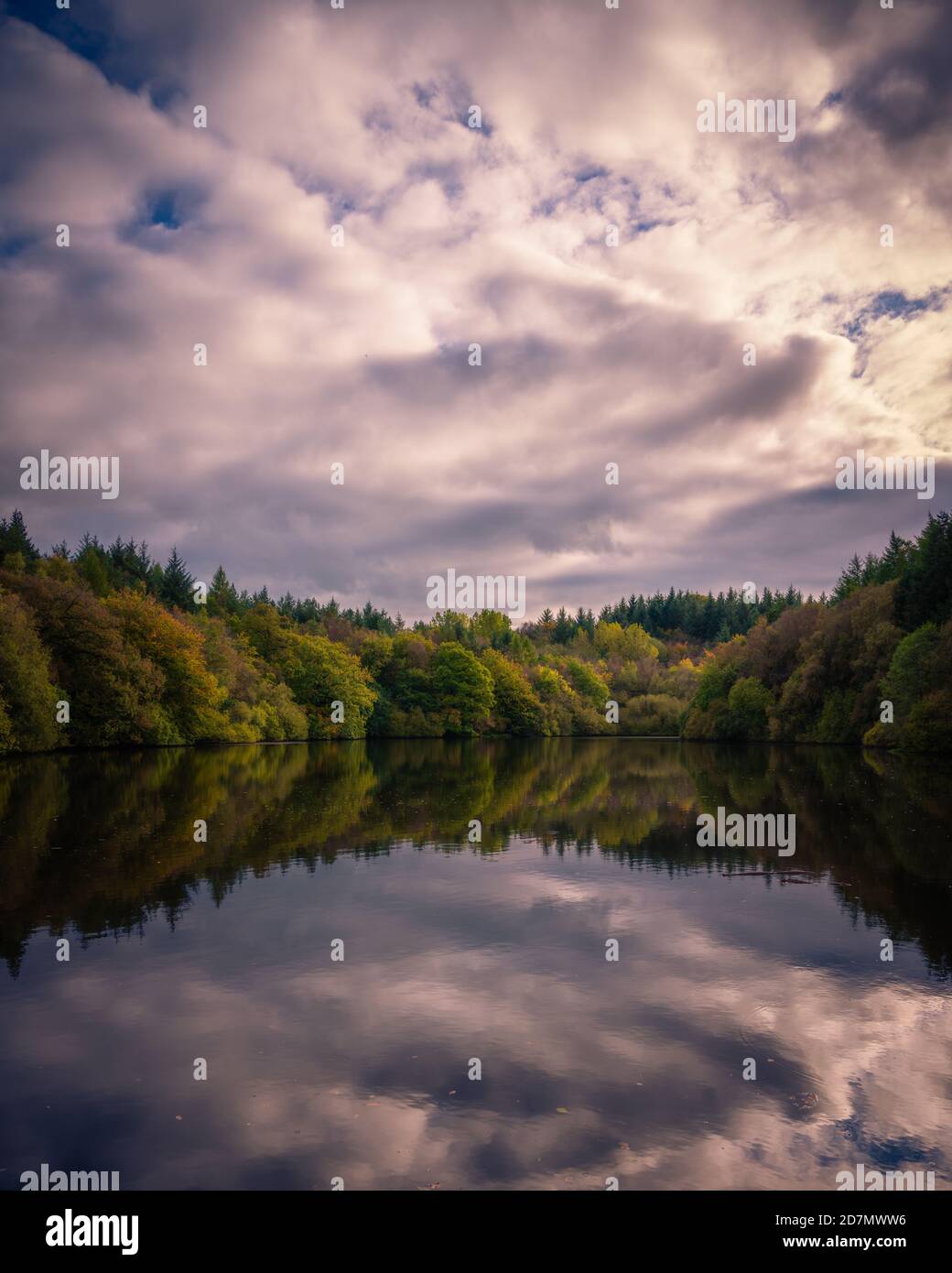 Lago Eavestone, Nidderdale, North Yorkshire Foto Stock
