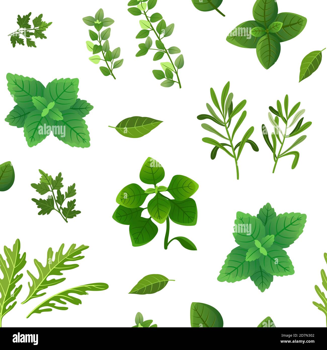 Modello SPICE senza giunture. Cibo erbe e spezie origano verde basilico menta spinaci coriandolo aneto prezzemolo e timo. Vettore infinita consistenza spezie per cucinare, ingrediente erbe e basilico illustrazione Illustrazione Vettoriale