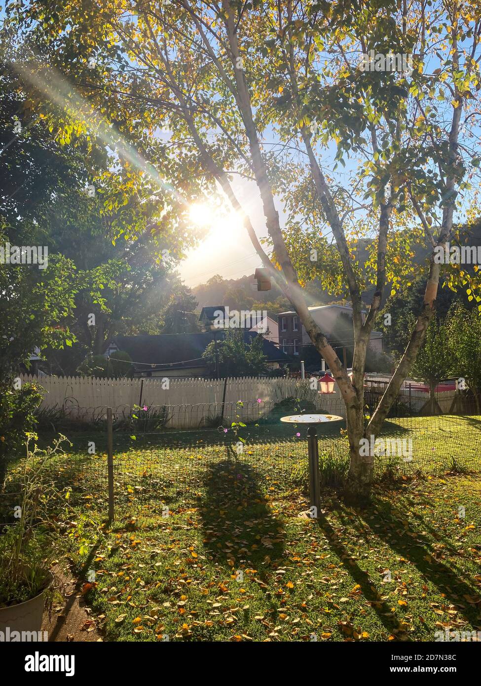 Mattina presto tranquilla luce del sole in cortile residenziale, Pennsylvania, Stati Uniti Foto Stock