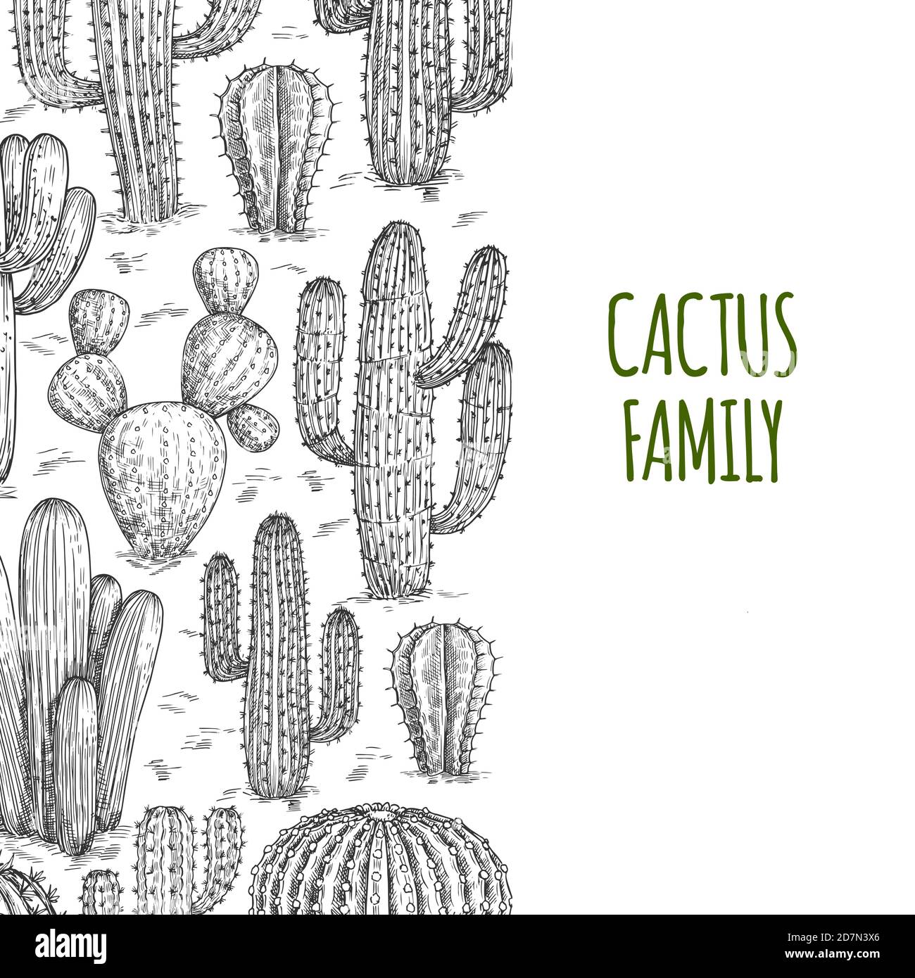 Il modello di intestazione dei cactus disegnati dal vettore con testo. Illustrazione di cactus spiky, bandiera di contorno con cactus Illustrazione Vettoriale