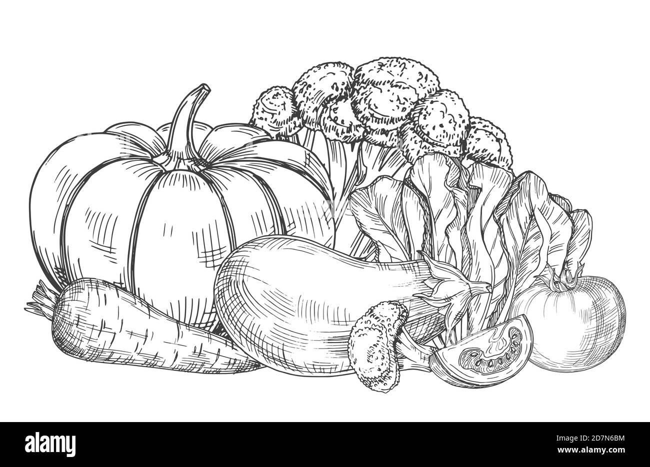 Disegno di verdure fresche di fattoria illustrazione vettoriale. Zucca e pomodoro, carote e pepe Illustrazione Vettoriale