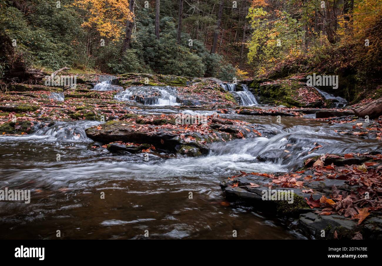 Dingmans Creek Waterfall scorre graziosamente drappeggiato con foglie colorate e. caduta fogliame Foto Stock