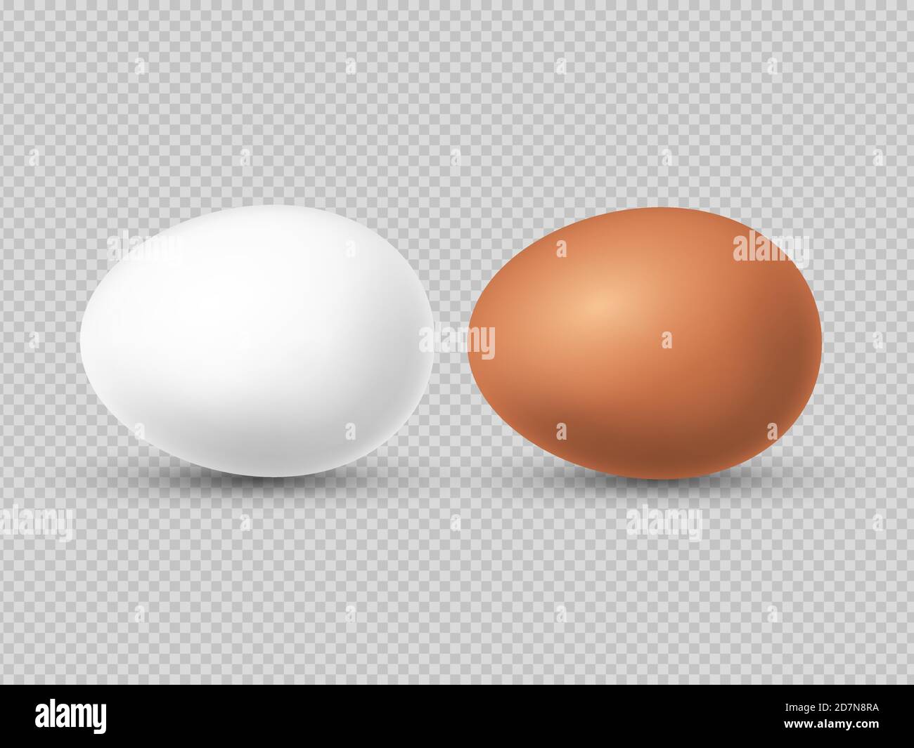 Illustrazione vettoriale realistica delle uova di pollo bianche e marroni. Uova di pollo per pasqua e mangiare Illustrazione Vettoriale