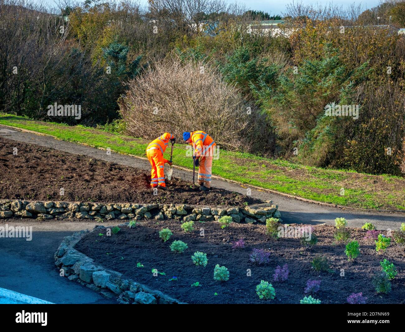 Team di enti locali di Parchi e Giardini che preparano letti di fiori Per piantare in autunno nei giardini pubblici Saltburn dal mare North Yorkshire Inghilterra Regno Unito Foto Stock