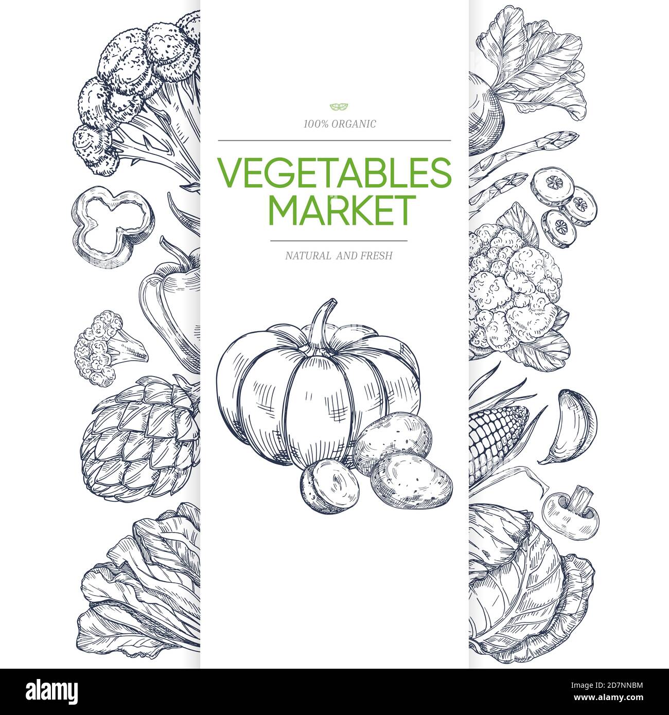 Modello banner mercati vegetali con disegno a mano verde. Illustrazione di verdure vegetariane sane, zucca e broccoli, mais e pepe Illustrazione Vettoriale