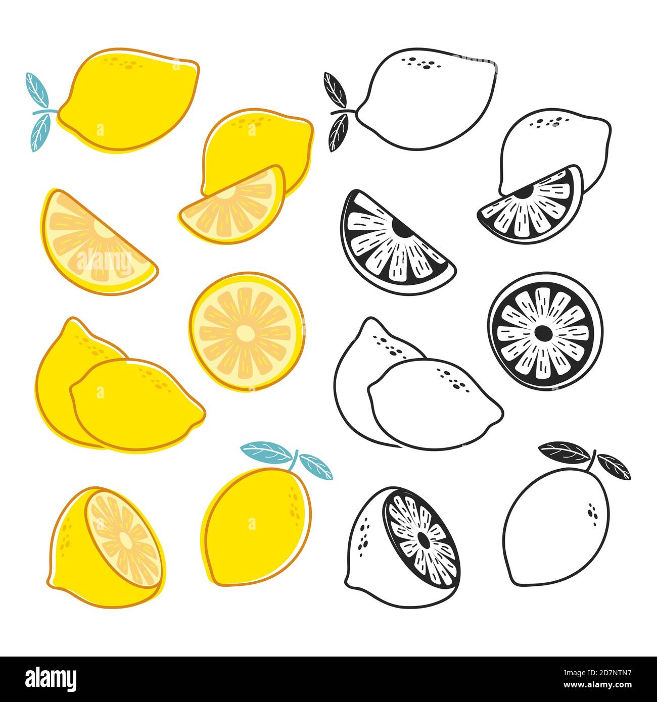 Scorze vettoriali di limone, insieme vettoriale di agrumi gialli e neri e bianchi. Illustrazione della metà tagliata di frutta, agrumi freschi Illustrazione Vettoriale