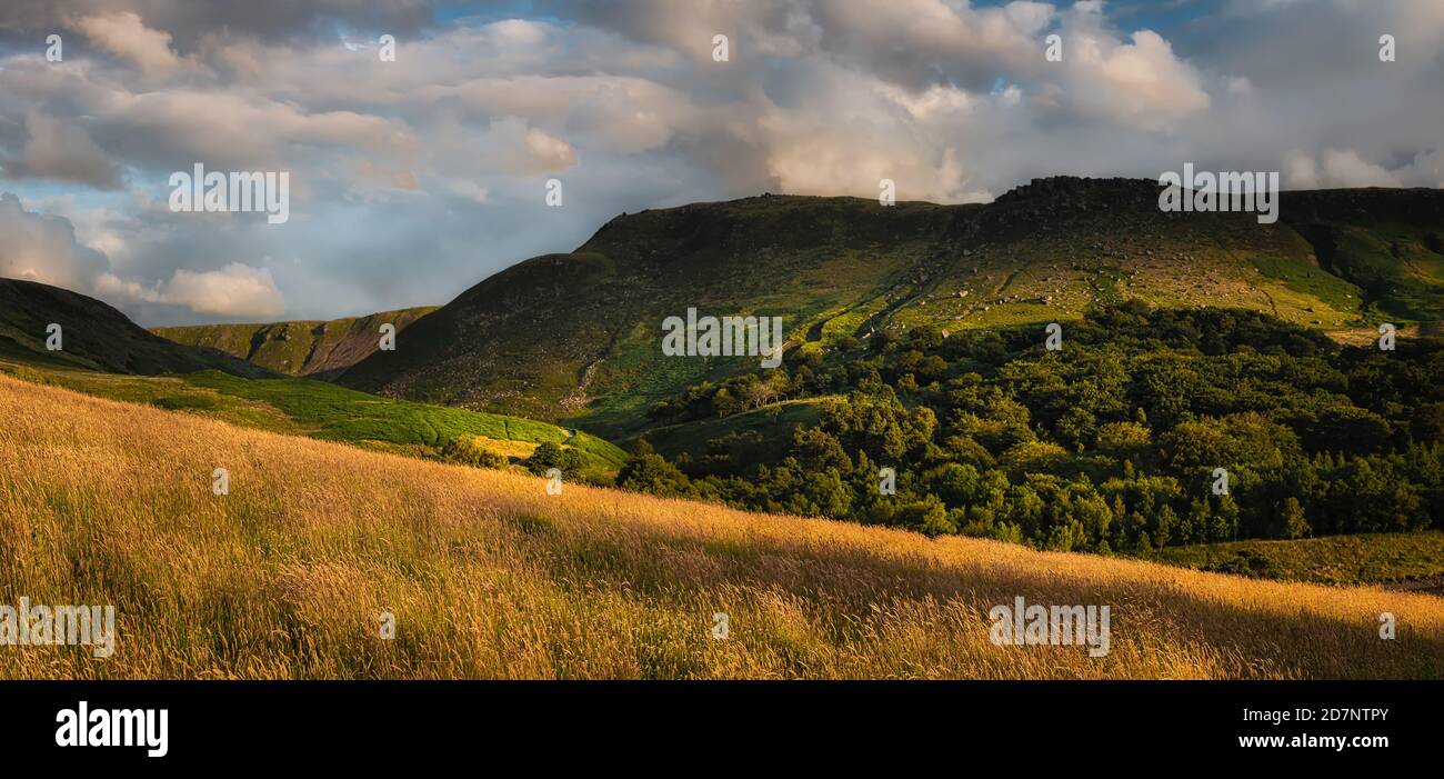 Colline e alberi di Pennine a Dovestone, Saddleworth, Greater manchester, con erbe dorate, nuvole e cielo blu, in una serata di luglio Foto Stock