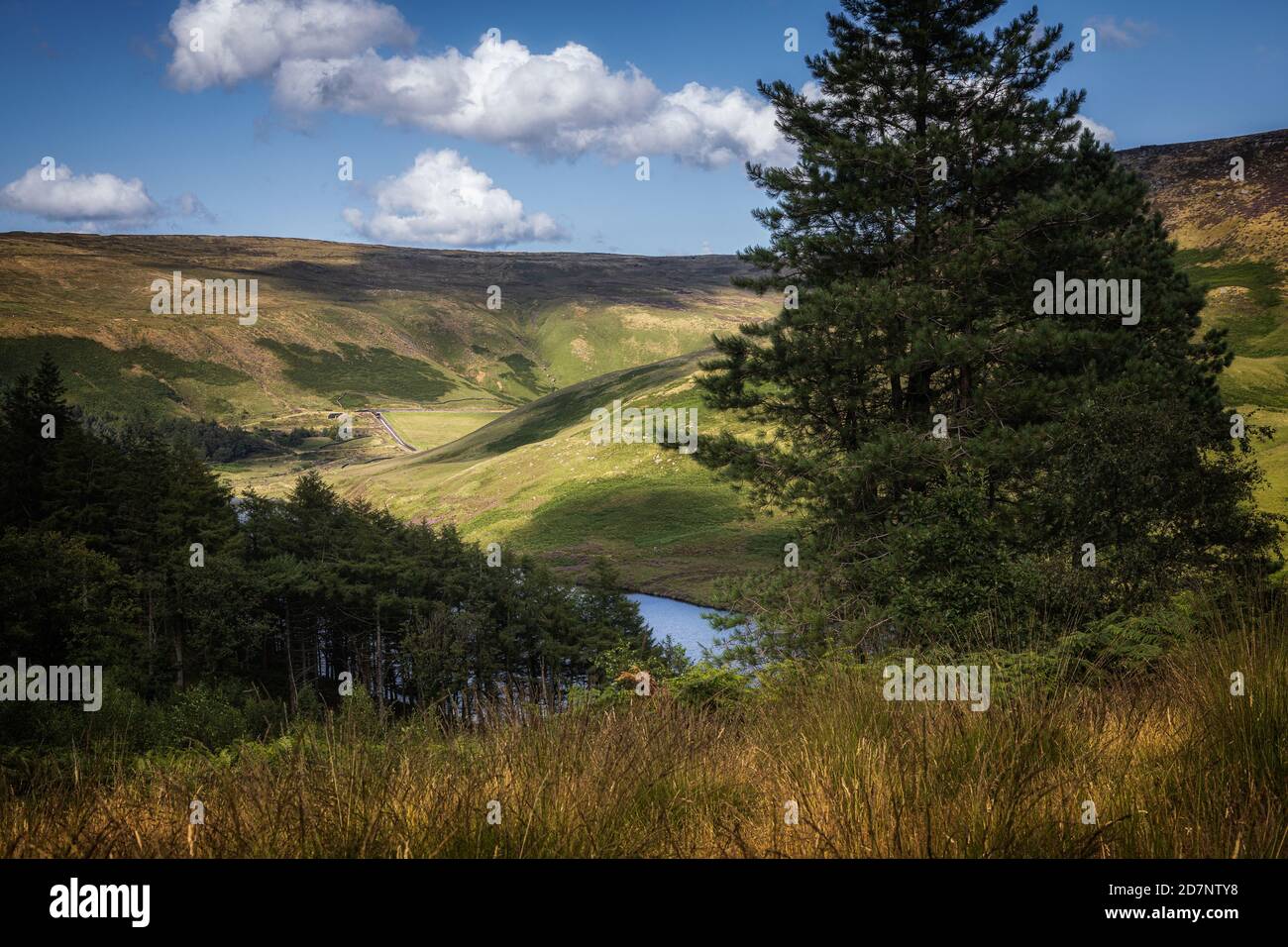 Binn Green Rocks, Greenfield, Saddleworth, guardando verso le rocce di dove Stone e bacino idrico con cielo blu e soffici nuvole bianche Foto Stock