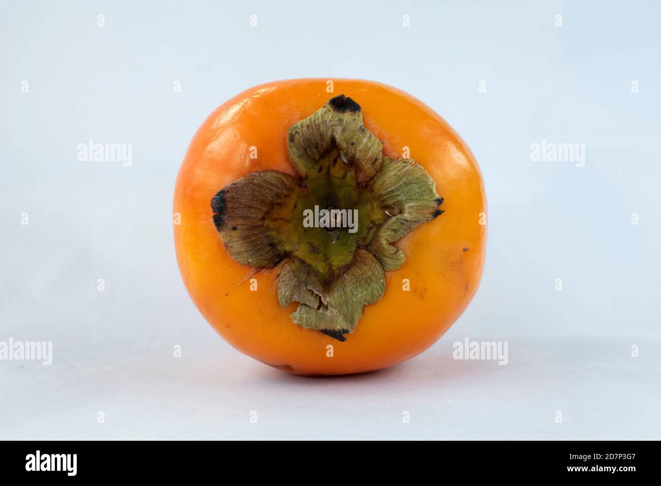 Frutto intero di persimmon (Vanilla kaki, noto anche come Sharon Fruit) isolato su bianco Foto Stock