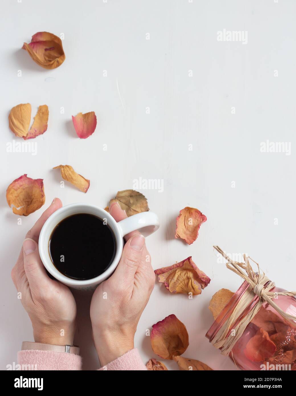 Tazza di caffè caldo in mani con morbido pullover rosa e petali di fiori rosa Foto Stock