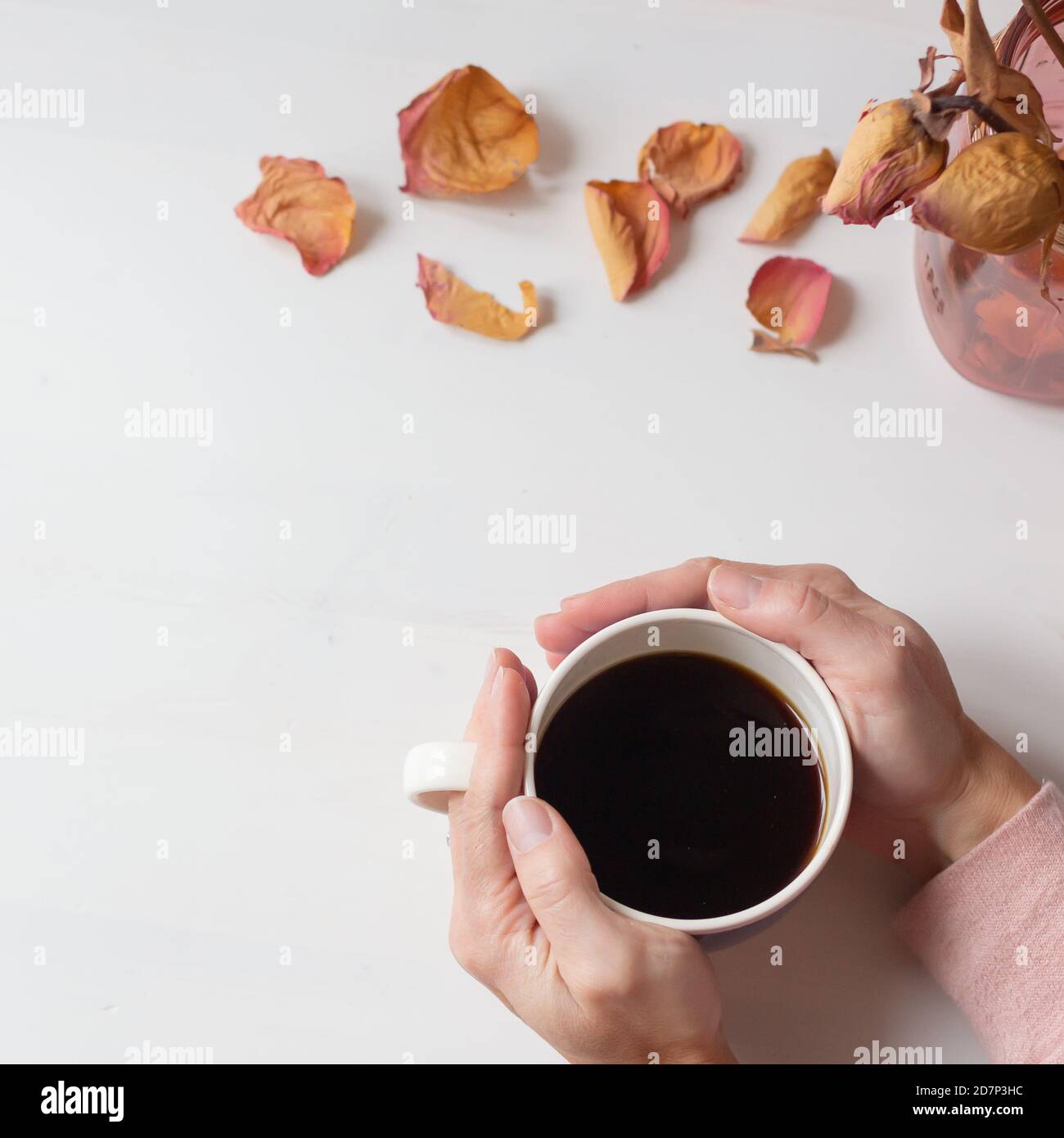 Tazza di caffè caldo in mani con morbido pullover rosa e petali di fiori rosa Foto Stock