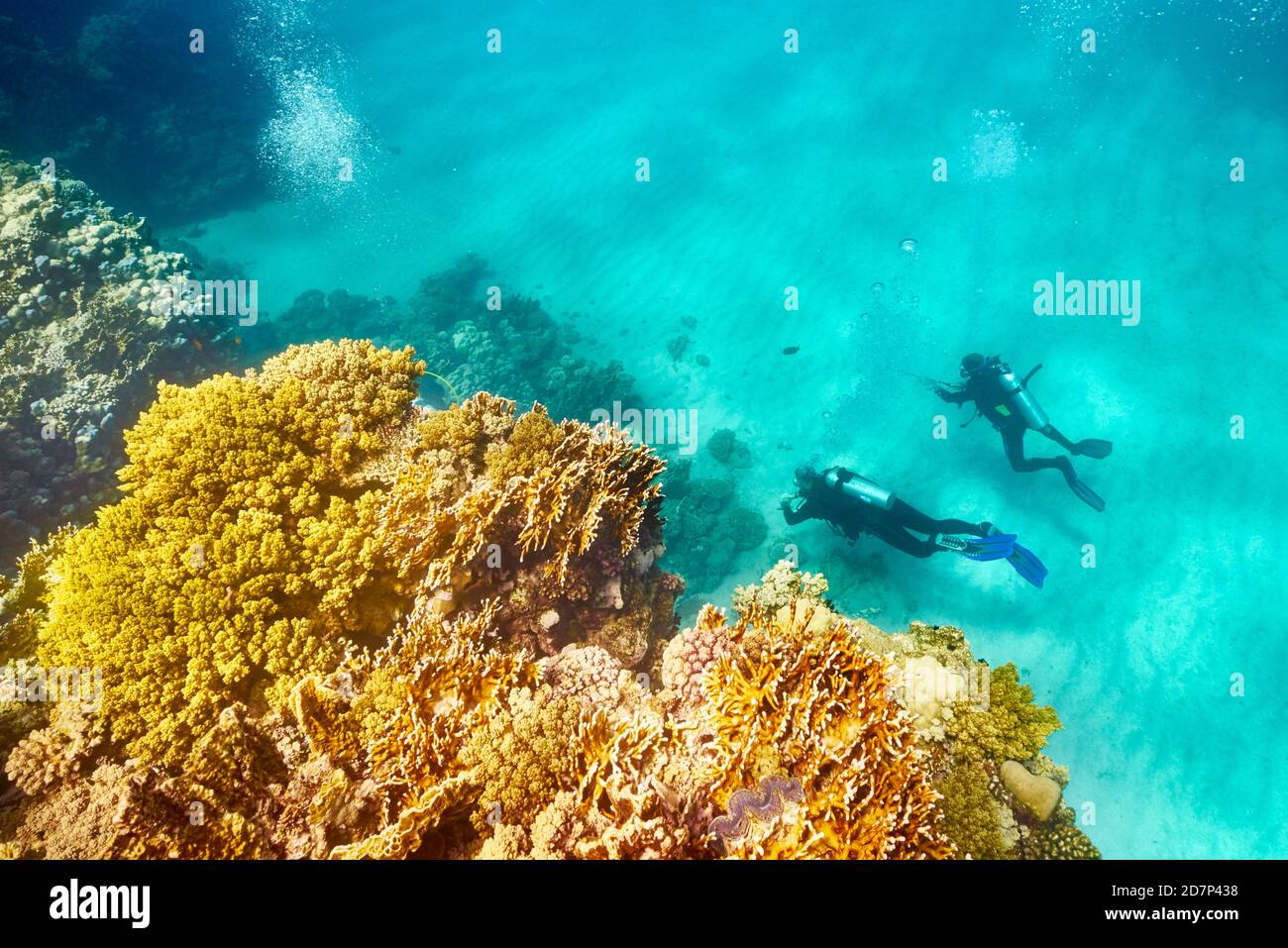 Vista subacquea a subacquei e la barriera corallina, Marsa Alam, Mar Rosso, Egitto Foto Stock