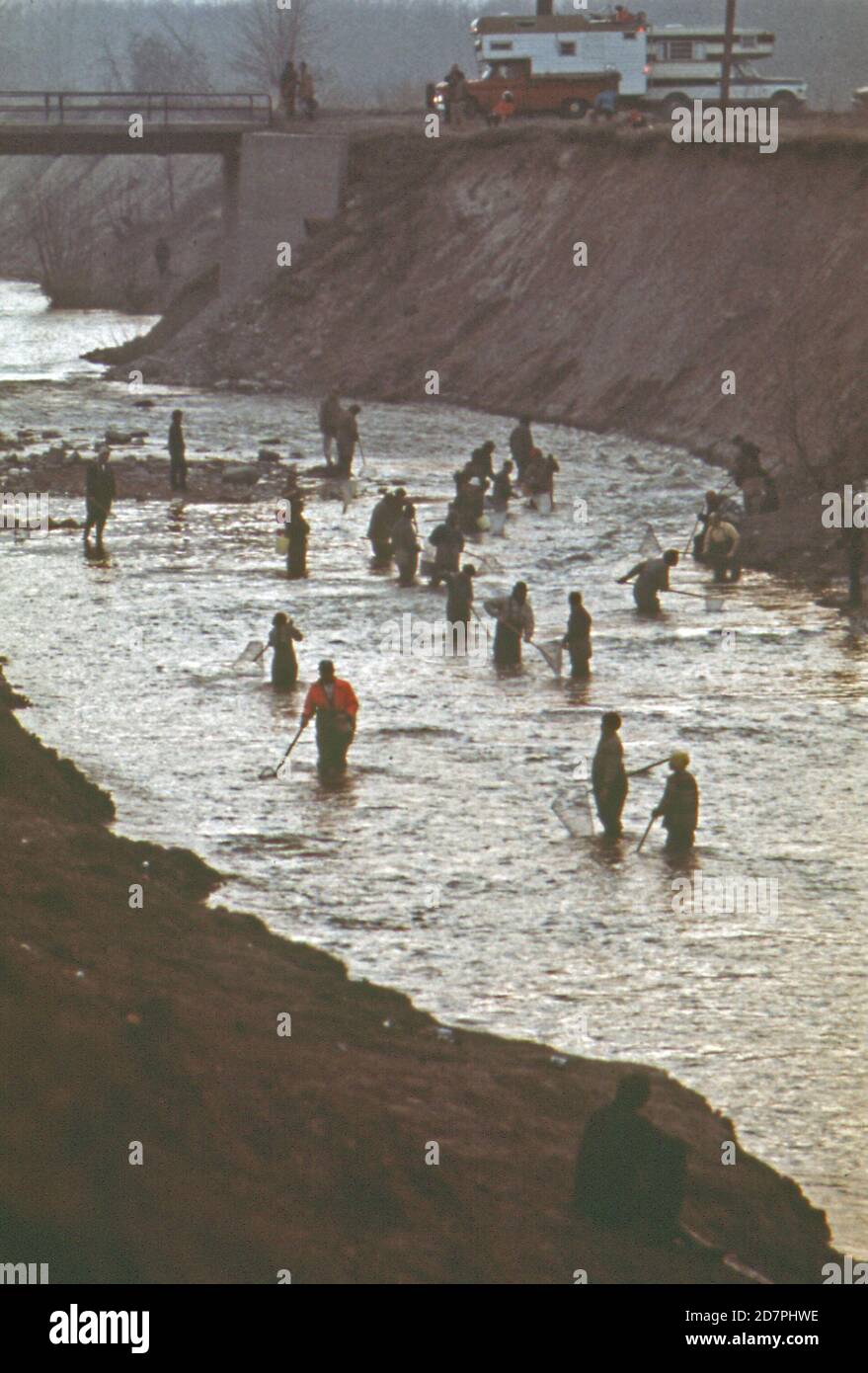 Annuale puzzolente correre a Singing Bridge; Tawas City. A metà aprile migliaia di pescatori si riuniscono a Whitney drain; un canale artificiale sul lago Huron; per dipnett per questi piccoli pesci. Dipnetting continua nella notte ca. 1973 Foto Stock