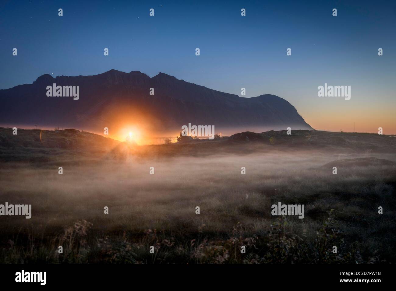 Pascolo di notte con foschia a terra, dietro la luce calda di una lampada da strada di fronte a una catena montuosa scura sotto un cielo stellato, Vagan, Lofoten Foto Stock