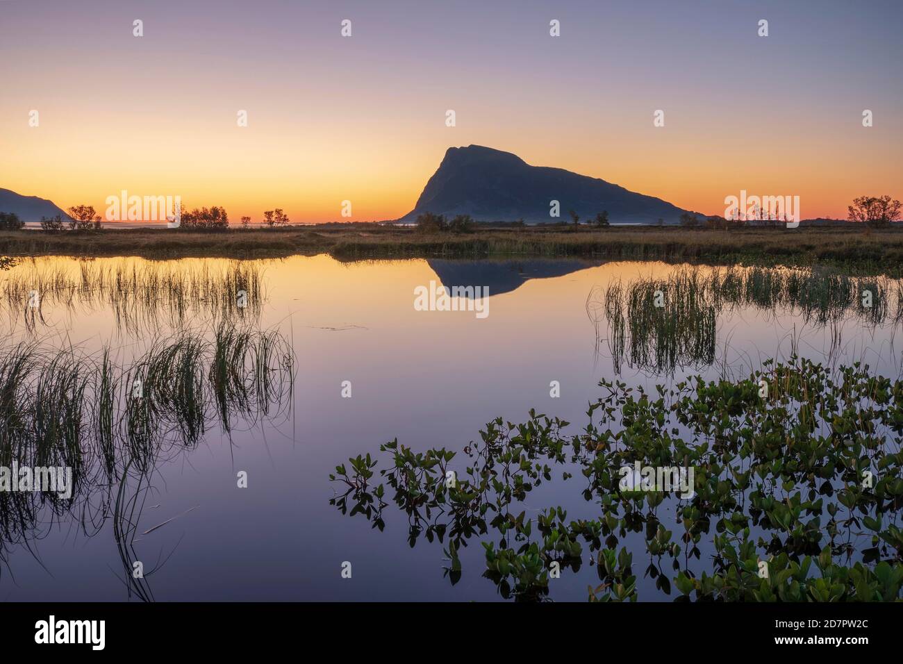Swampland, crepuscolo riflesso in superficie d'acqua, dietro la silhouette di montagna all'orizzonte, Gissoy, Lofoten, Nordland, Norvegia Foto Stock
