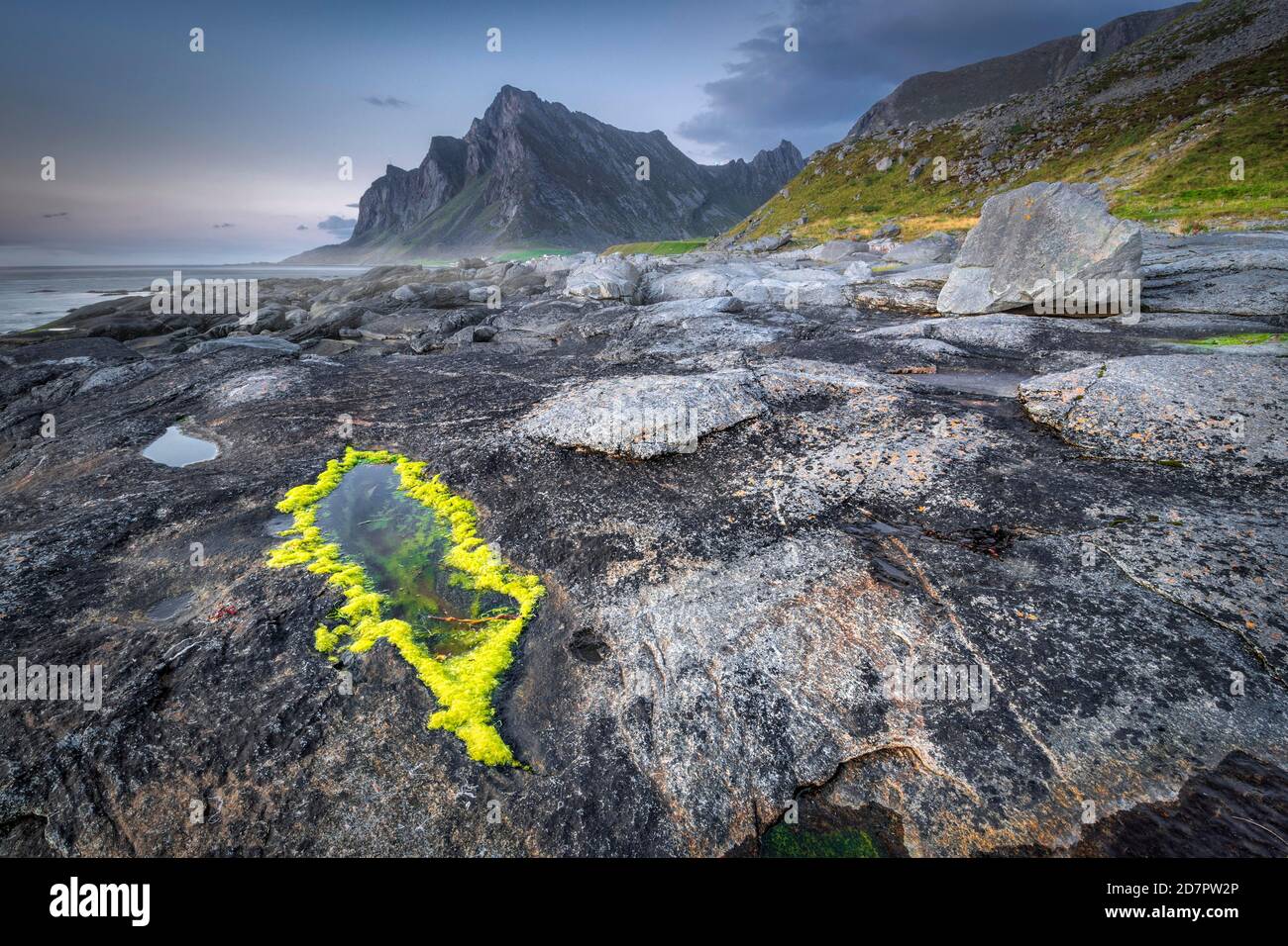 Formazioni rocciose con piscine maridali, striscia costiera, catena montuosa nella parte posteriore, Vikten, Nordland, Lofoten, Norvegia Foto Stock