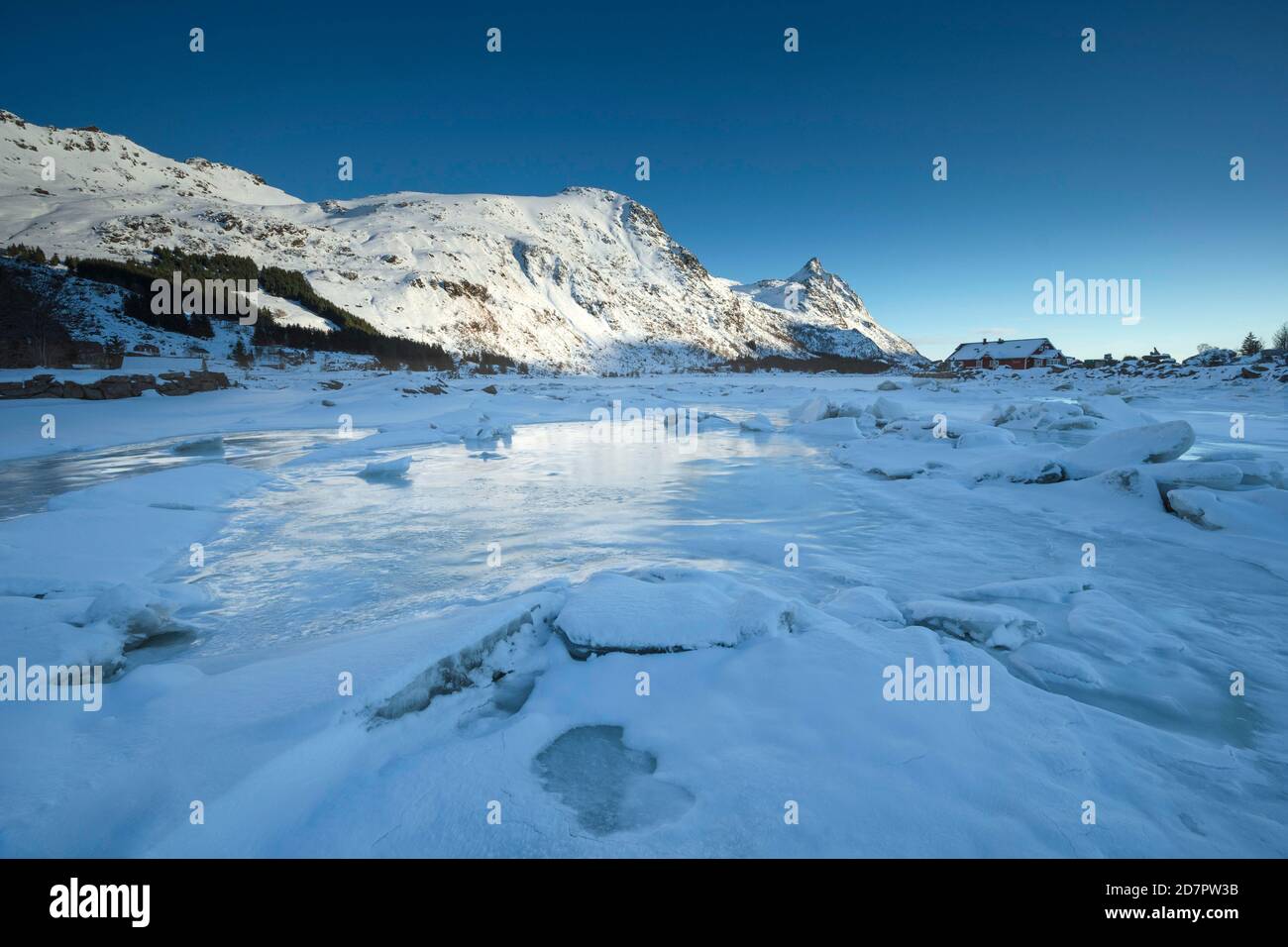Lago ghiacciato con galleggianti di ghiaccio nel paesaggio invernale, Nordland, Lofoten, Norvegia Foto Stock