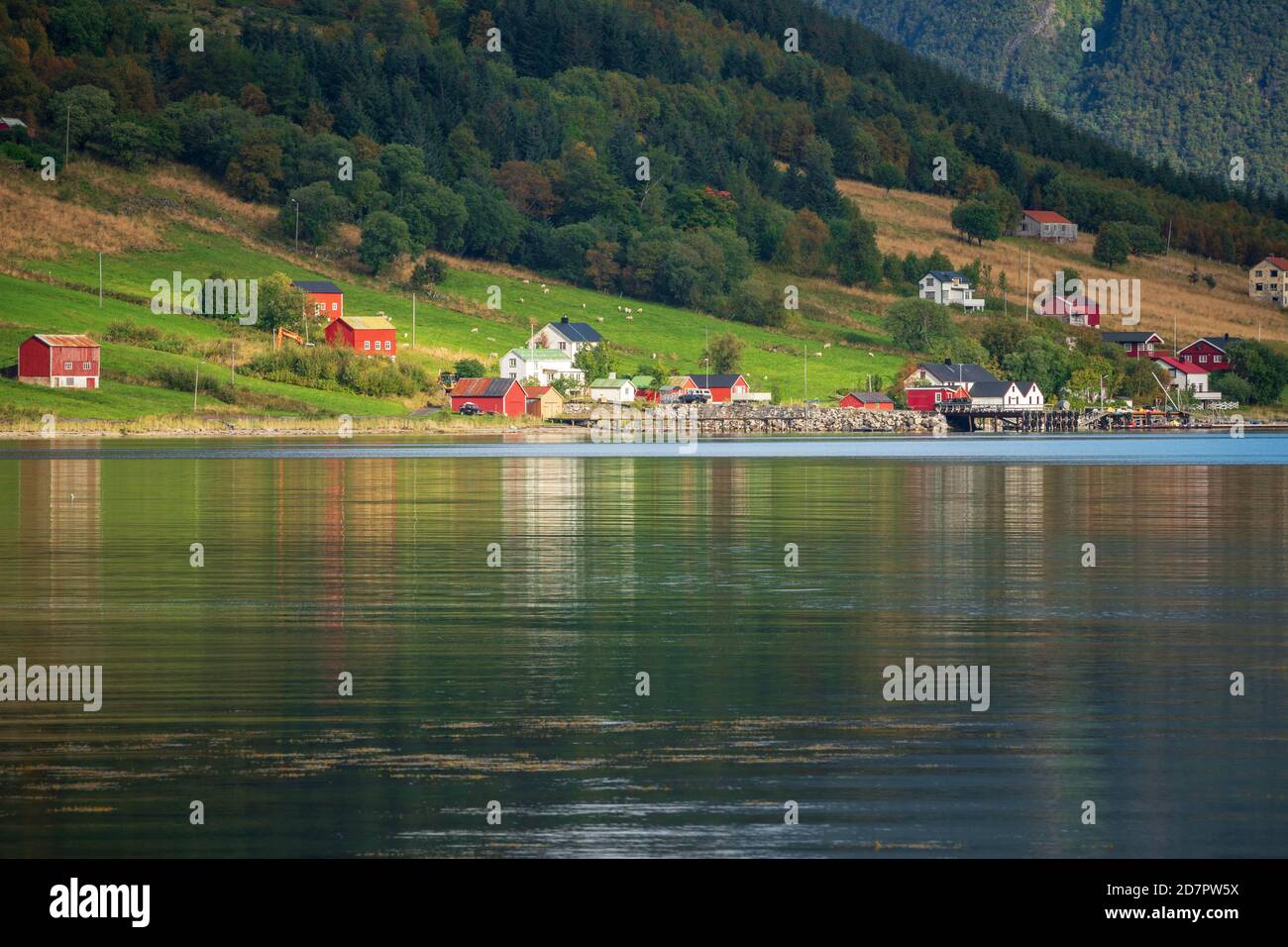 Piccolo insediamento su un fiordo, dietro montagne con pendii boscosi, Dalsgrenda, Nordland, Norvegia Foto Stock
