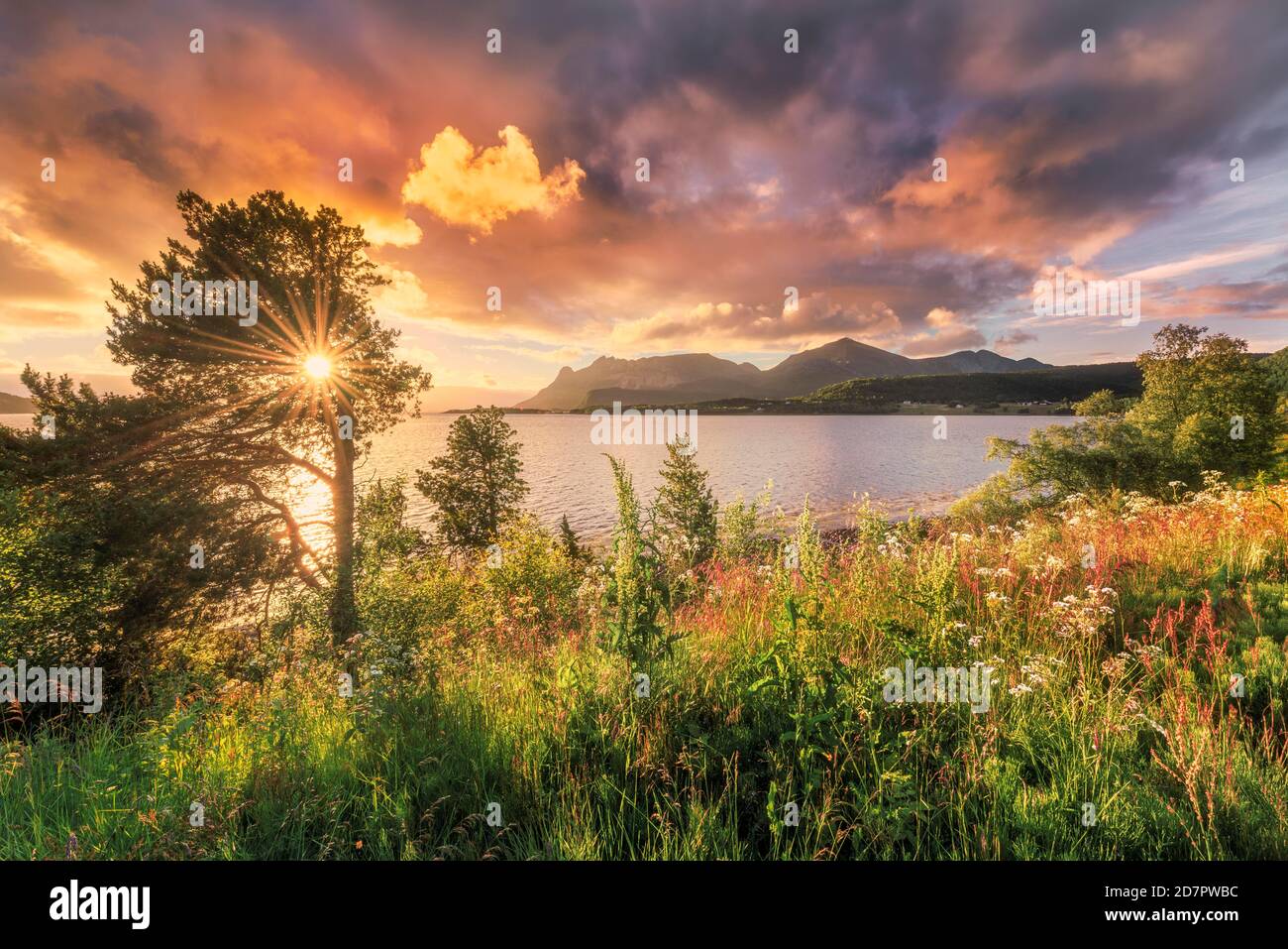 Sole di mezzanotte a metà estate dal fiordo, fitta vegetazione, calda luce atmosfera con la stella del sole, Bogoy, Nordland, Norvegia Foto Stock
