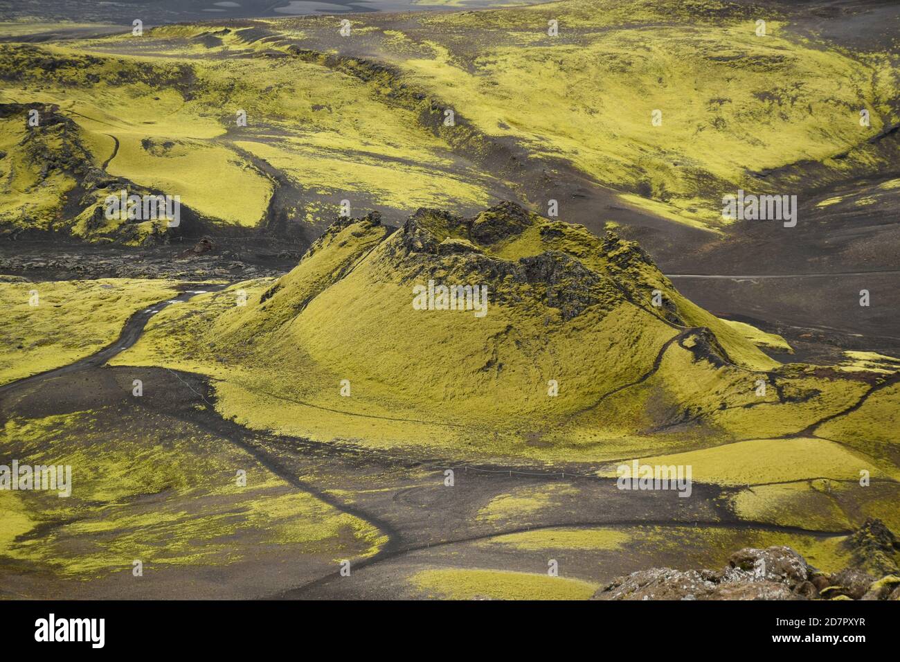 Uno dei crateri del complesso vulcanico di Laki, Islanda Foto Stock