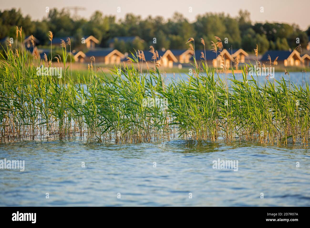Casa sul lago, Sassonia-Anhalt, insediamento casa vacanze sul lago, vacanze in Germania Foto Stock