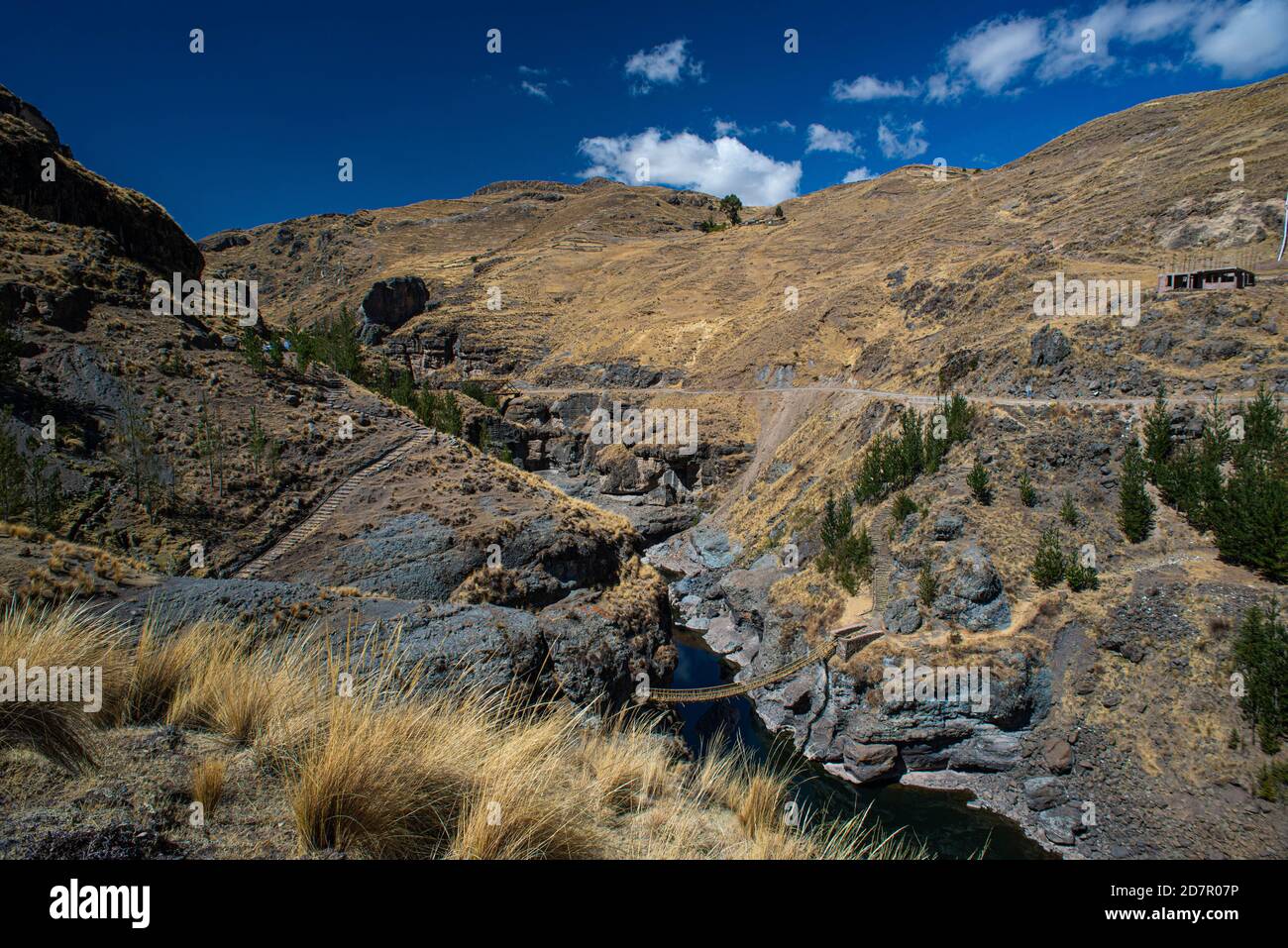 Qu'eswachaka ponte sospeso, ponte di corda fatto di tessuto Peruviano Feathergrass (Stipa ichu), sul fiume Apurimac, l'ultima nota Inca funzionante Foto Stock