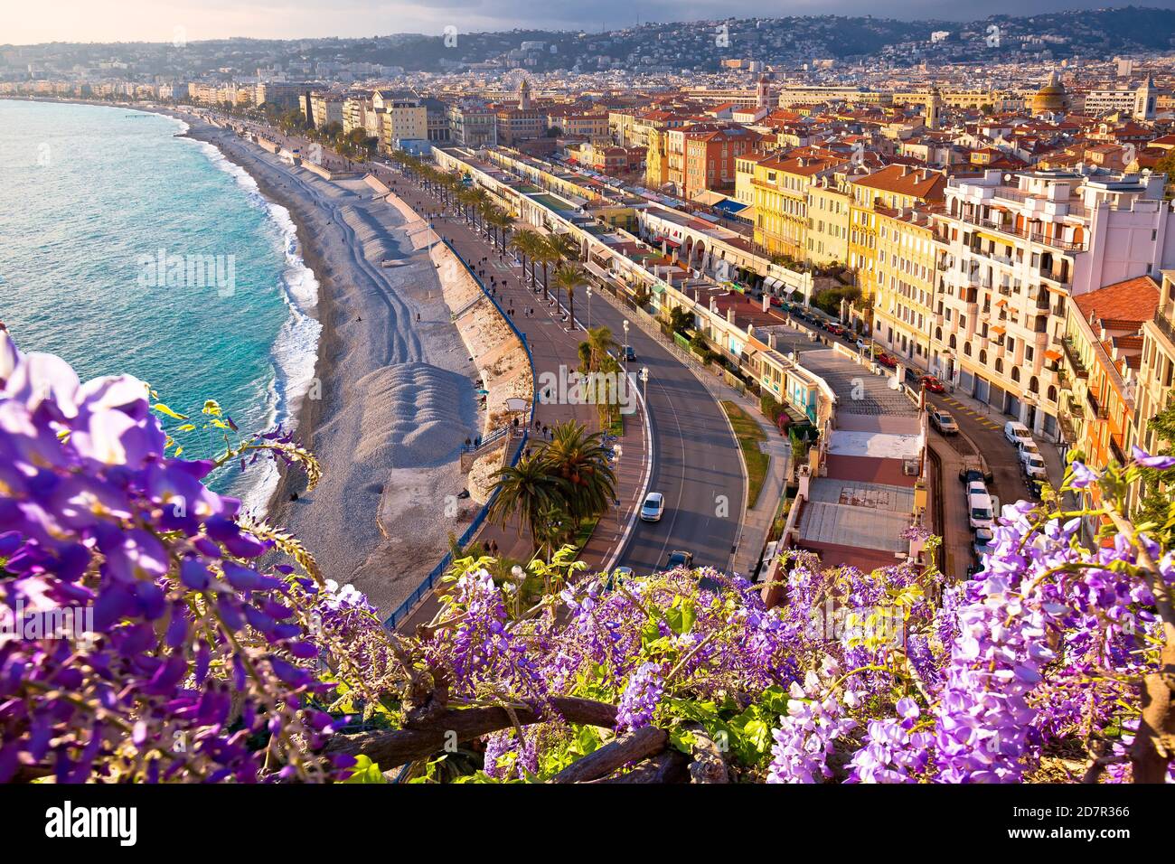 Città di Nizza Promenade des Anglais Waterfront fiore vista, costa azzurra, dipartimento Alpes Maritimes della Francia Foto Stock