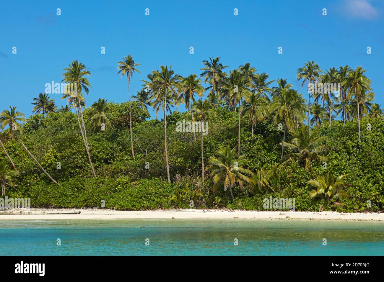 Palme e spiaggia, Isola di Motutapu, Laguna di muri, Rarotonga, Isole Cook, Sud Pacifico Foto Stock