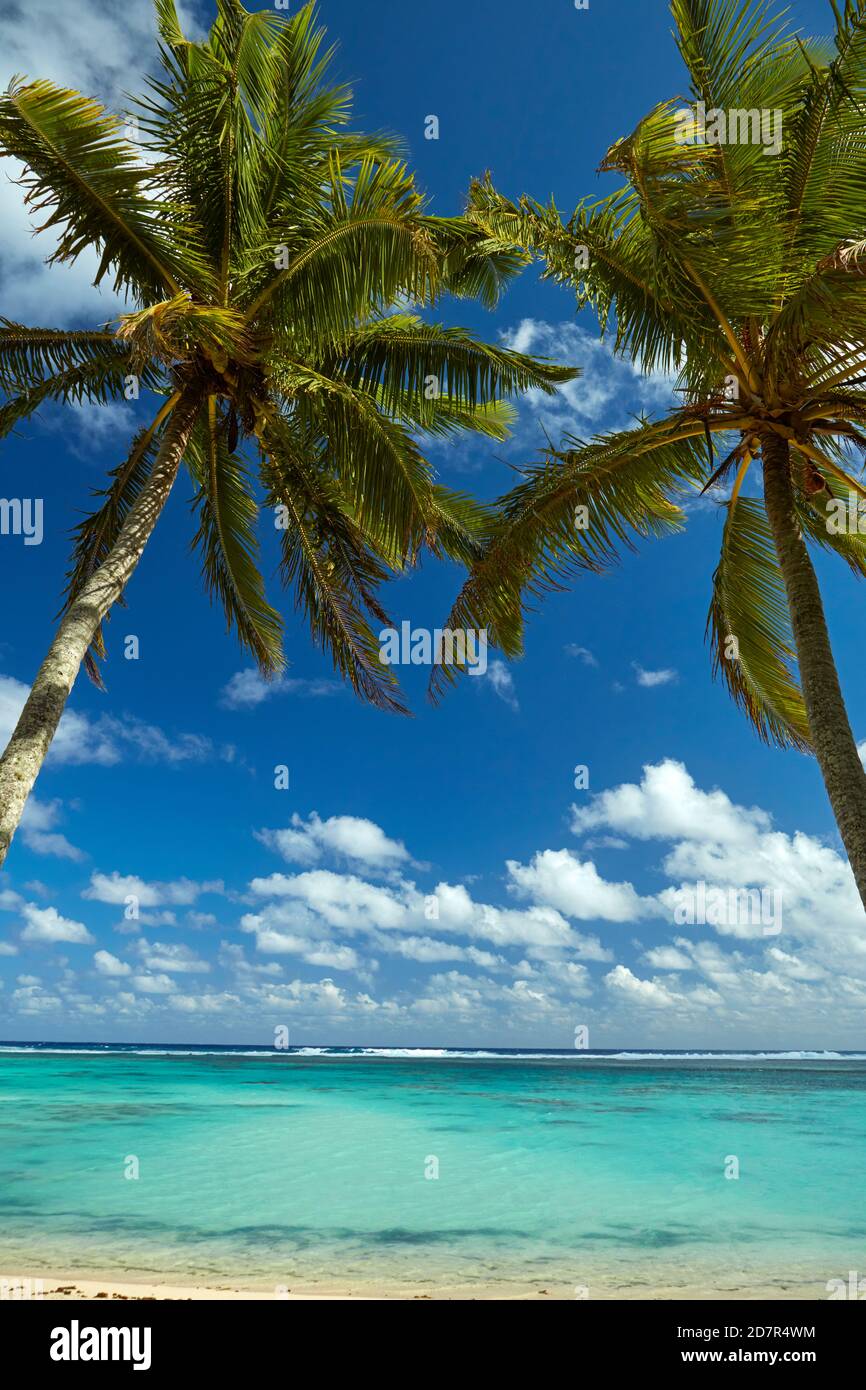 Palme da cocco e spiaggia, distretto di Takitimu, Rarotonga, Isole Cook, Sud Pacifico Foto Stock