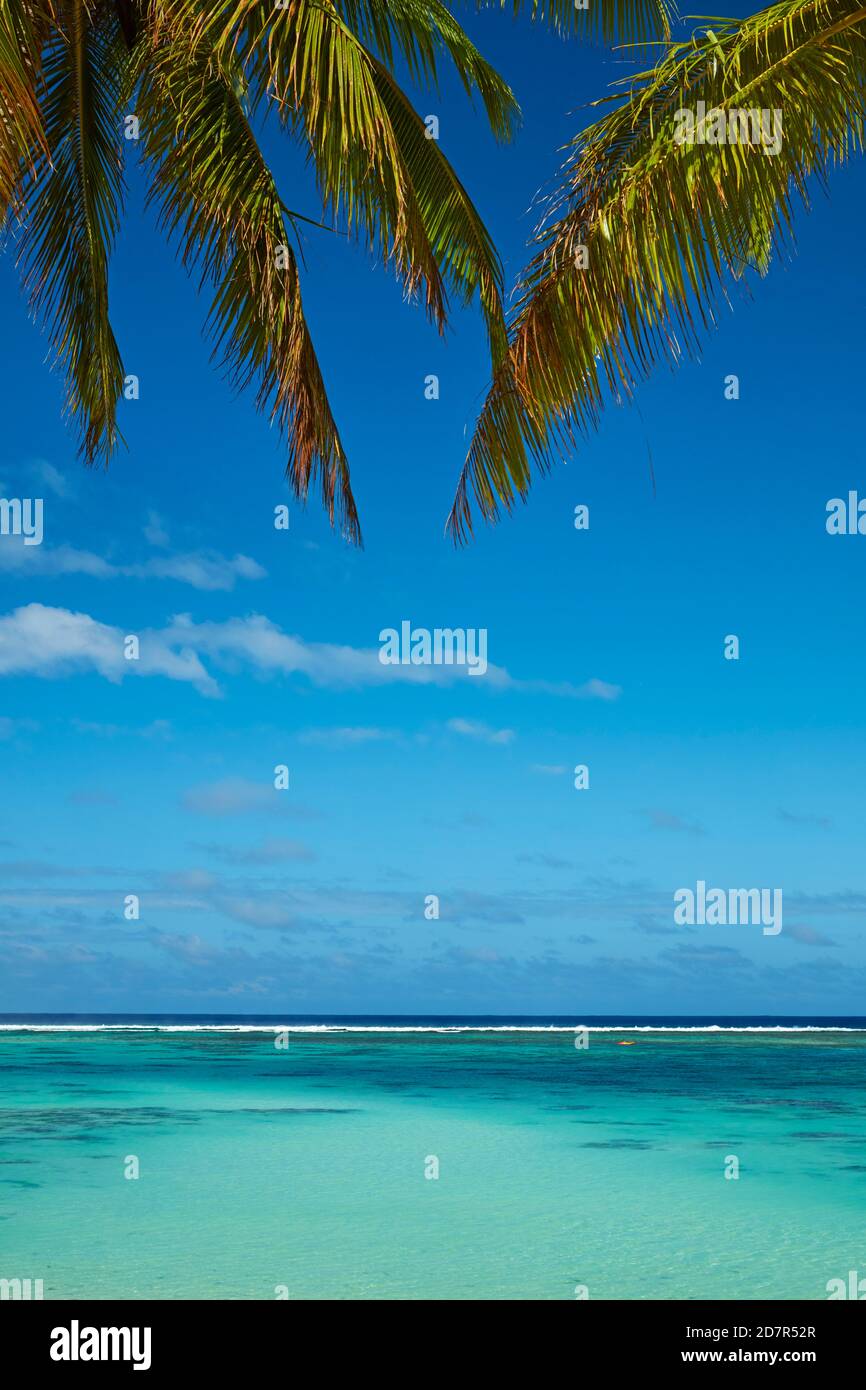 Palme da cocco e spiaggia, distretto di Takitimu, Rarotonga, Isole Cook, Sud Pacifico Foto Stock