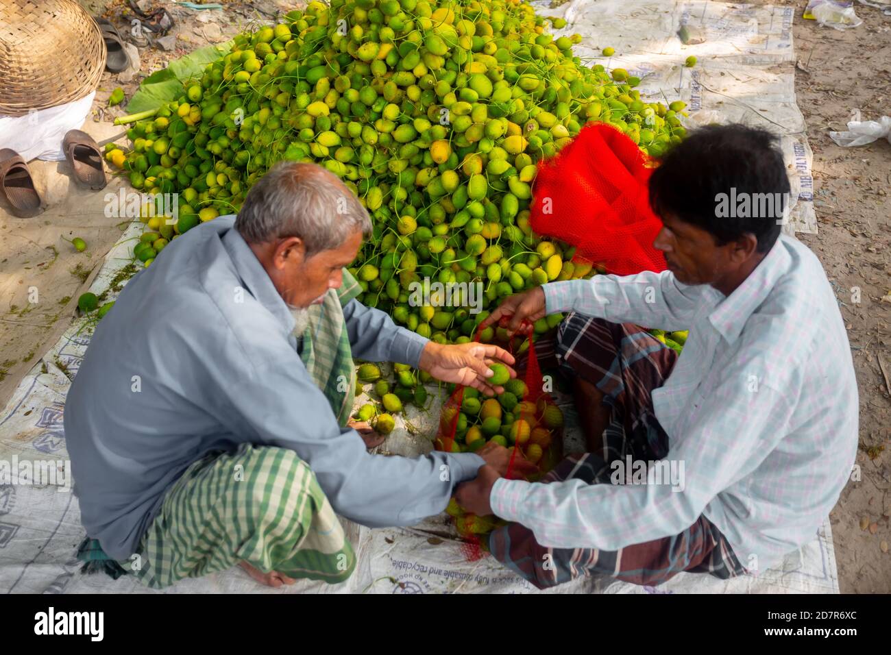 Bangladesh – 18 ottobre 2020: Due lavoratori che confezionano verdure fresche e verdi in zucca per la vendita sul mercato di Narsingdi. Foto Stock