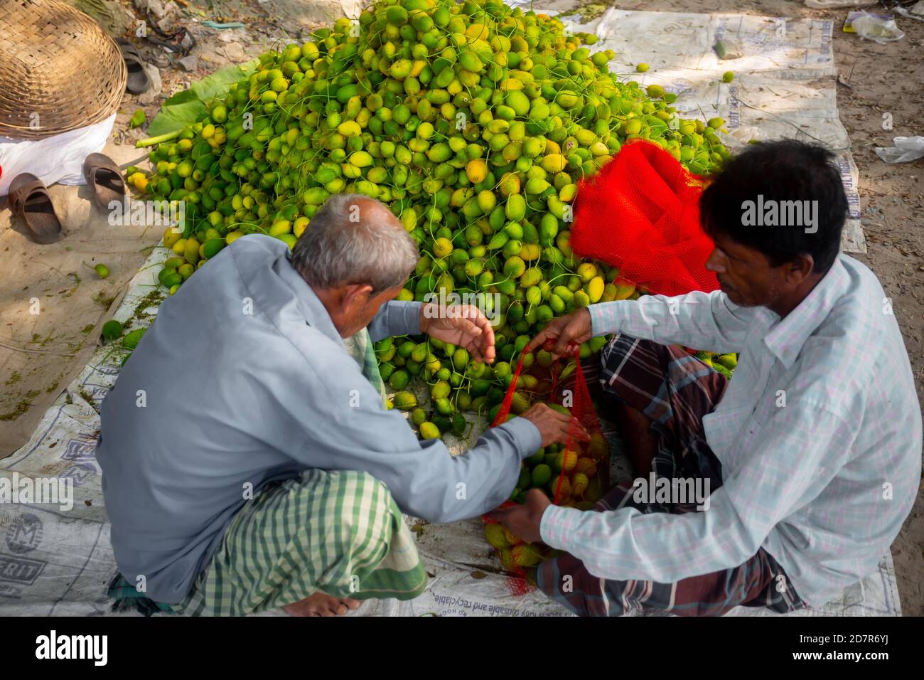 Bangladesh – 18 ottobre 2020: Due lavoratori che confezionano verdure fresche e verdi in zucca per la vendita sul mercato di Narsingdi. Foto Stock