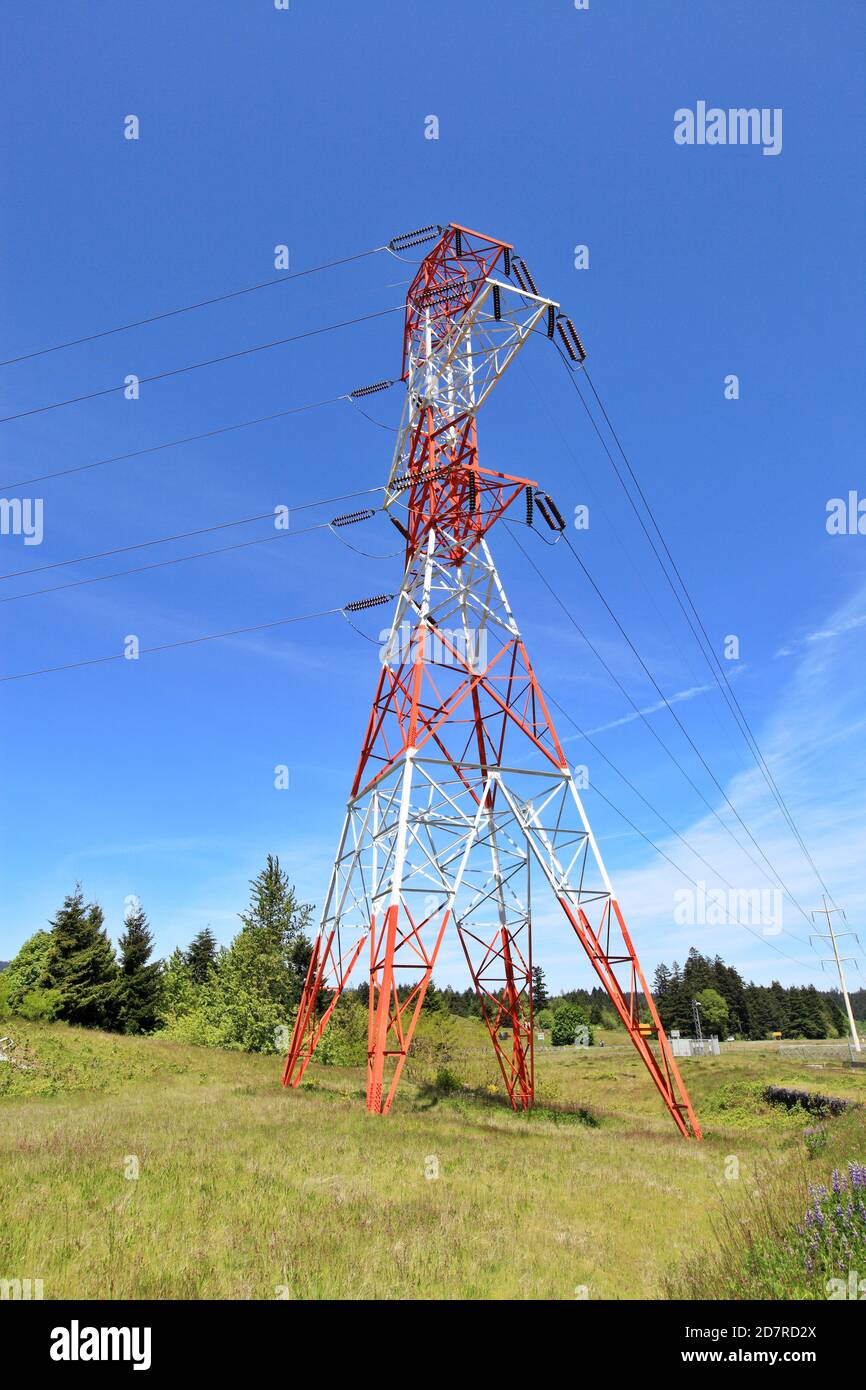 Tralicci elettrici e linee elettriche Foto Stock
