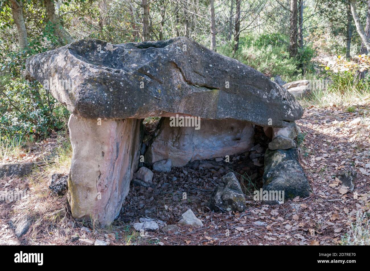 dolmen Castelltallat, Neolitico, Catalogna, Spagna Foto Stock
