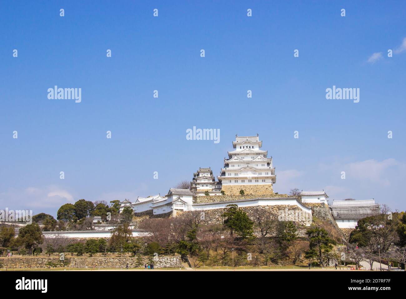 Il castello di Himeji durante la fioritura dei ciliegi fiorirà nella prefettura di Hyogo, in Giappone. Foto Stock