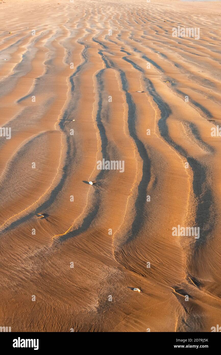 Increspa nella sabbia a bassa marea a Onslow. Foto Stock