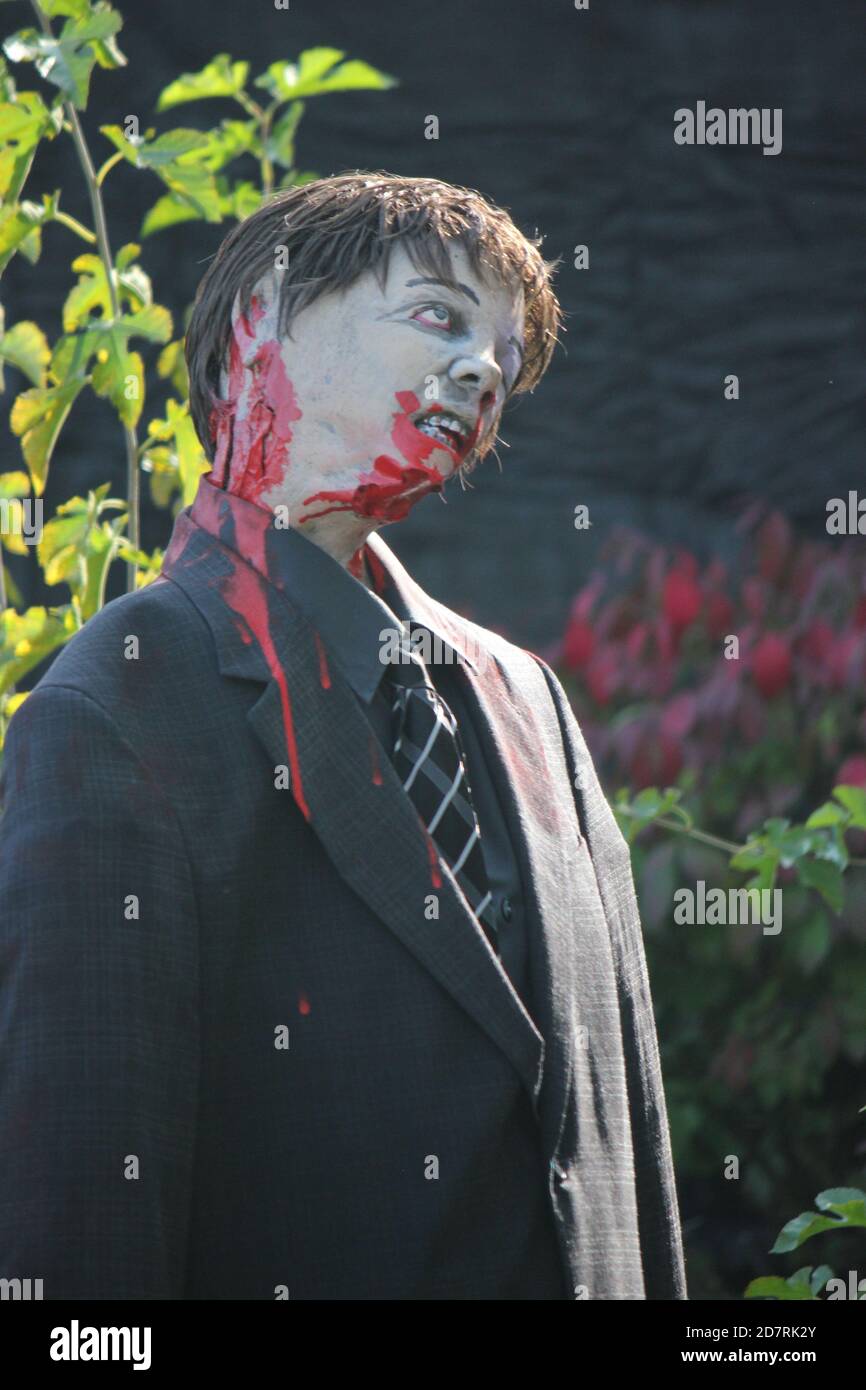 Decorazione di Halloween di un uomo morto che cammina con la testa appesa al suo collo sanguinoso. Foto Stock