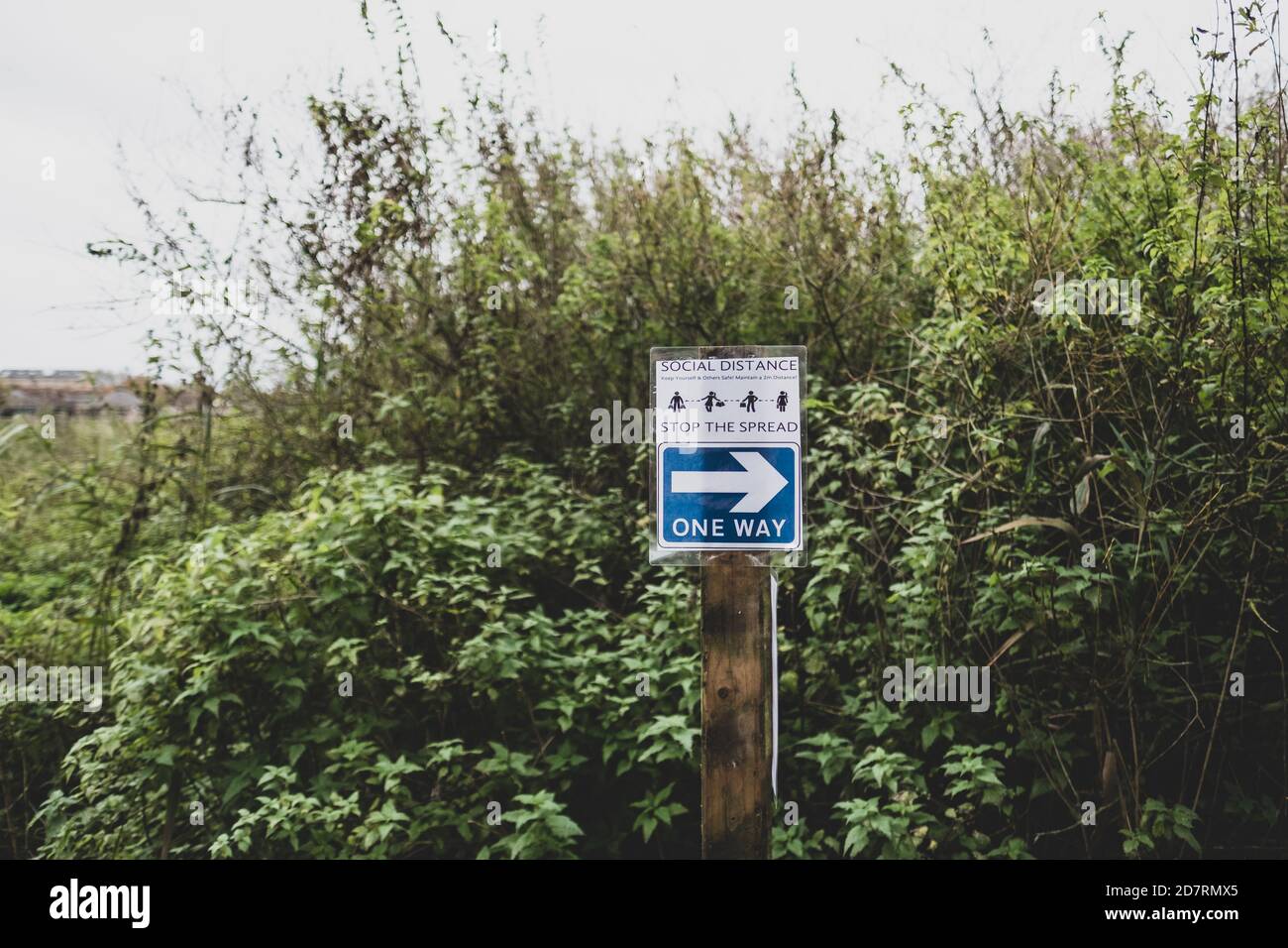 Molteplici cartelli di avvertimento realizzati localmente dal Covid-19 per i visitatori di una riserva naturale. Avviso di mantenere una distanza sociale durante il viaggio nel parco. Foto Stock