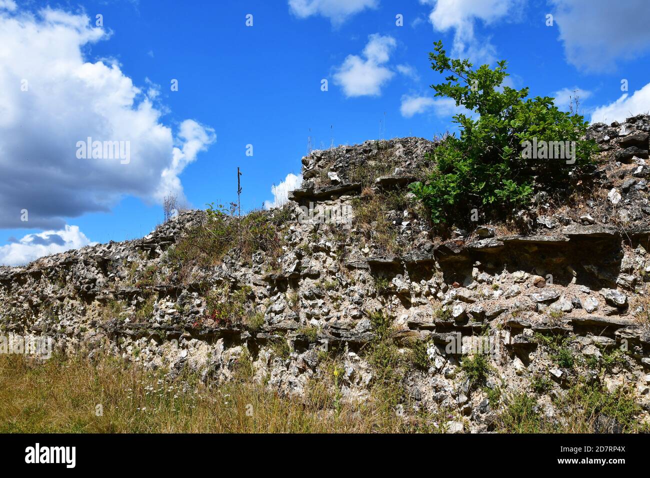 Silchester Roman City Walls, Silchester, Hampshire, Regno Unito Foto Stock